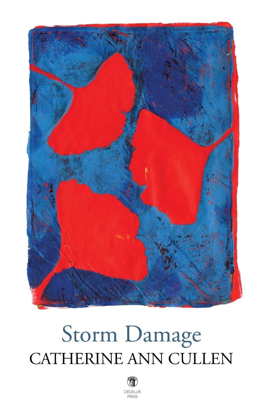 Vorderes Coverbild Storm Damage