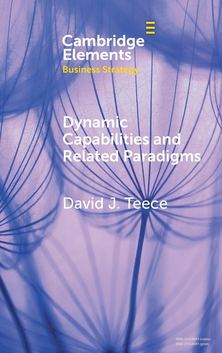 Vorderes Coverbild Dynamic Capabilities and Related Paradigms