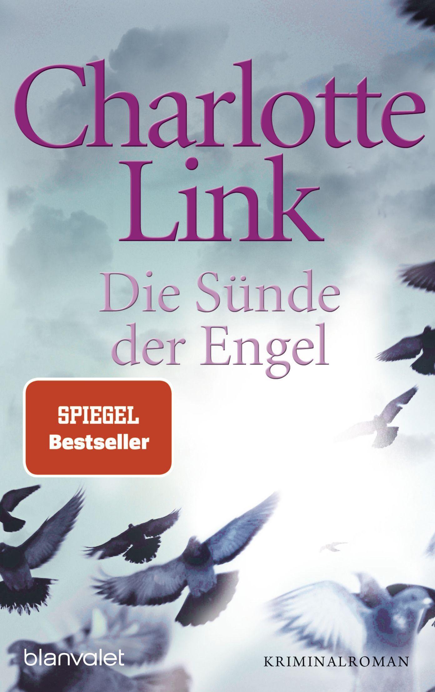 Vorderes Coverbild Die Sünde der Engel