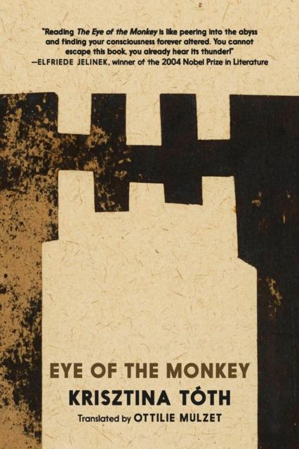 Vorderes Coverbild Eye of the Monkey