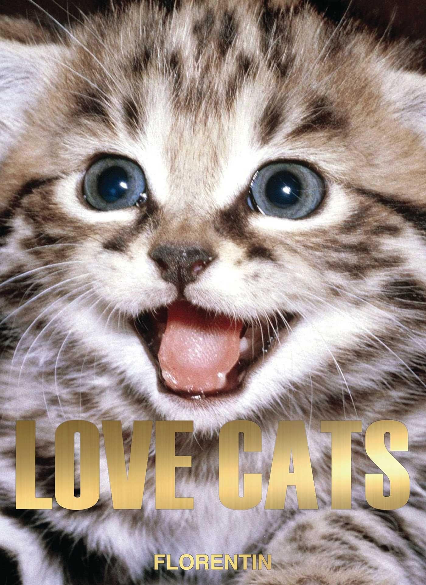 Vorderes Coverbild Love Cats
