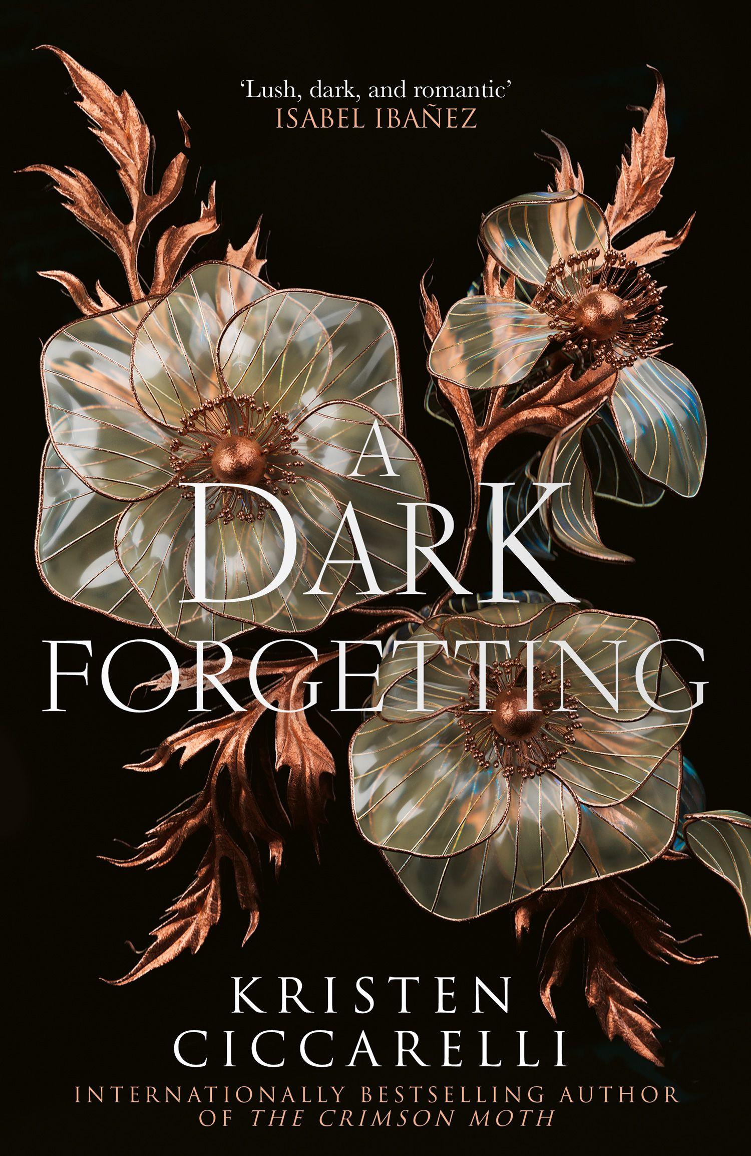 Vorderes Coverbild A Dark Forgetting