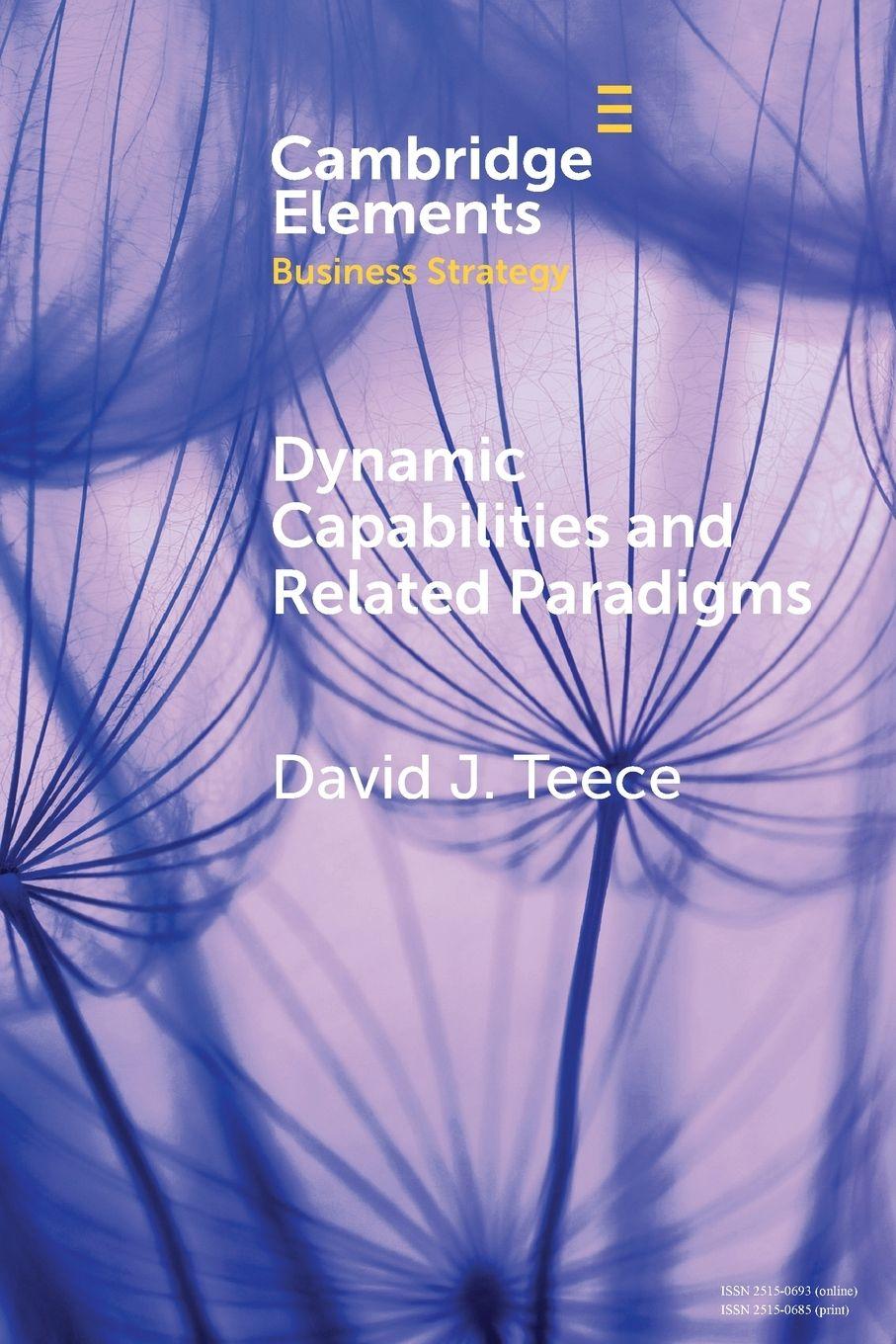Vorderes Coverbild Dynamic Capabilities and Related Paradigms