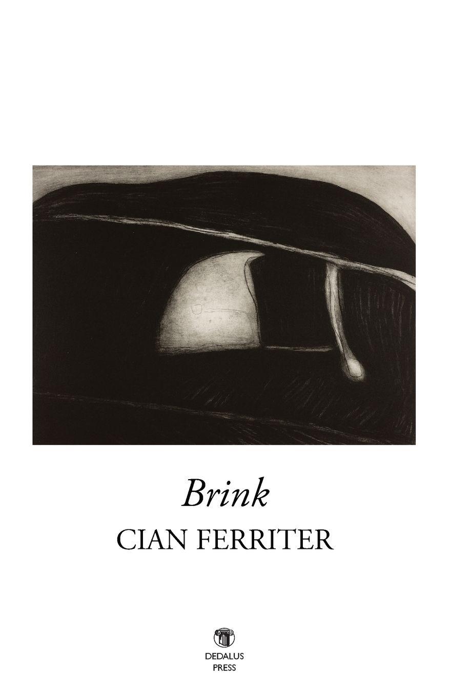 Vorderes Coverbild Brink