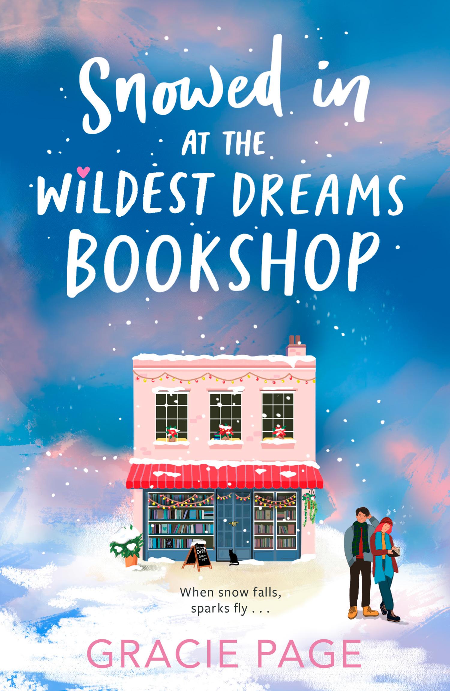 Vorderes Coverbild Snowed in at the Wildest Dreams Bookshop