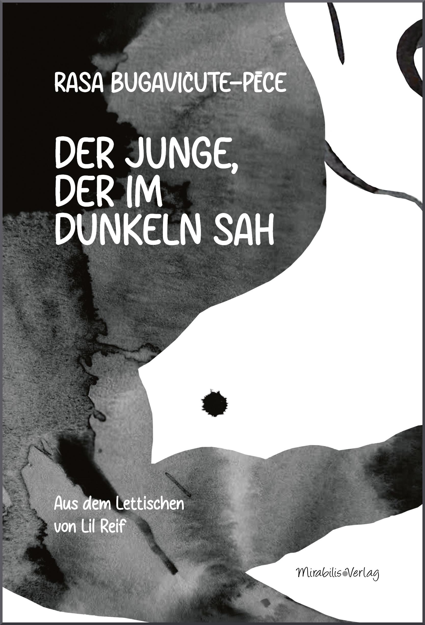 Vorderes Coverbild Der Junge, der im Dunkeln sah