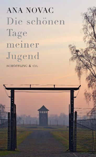Vorderes Coverbild Die schönen Tage meiner Jugend