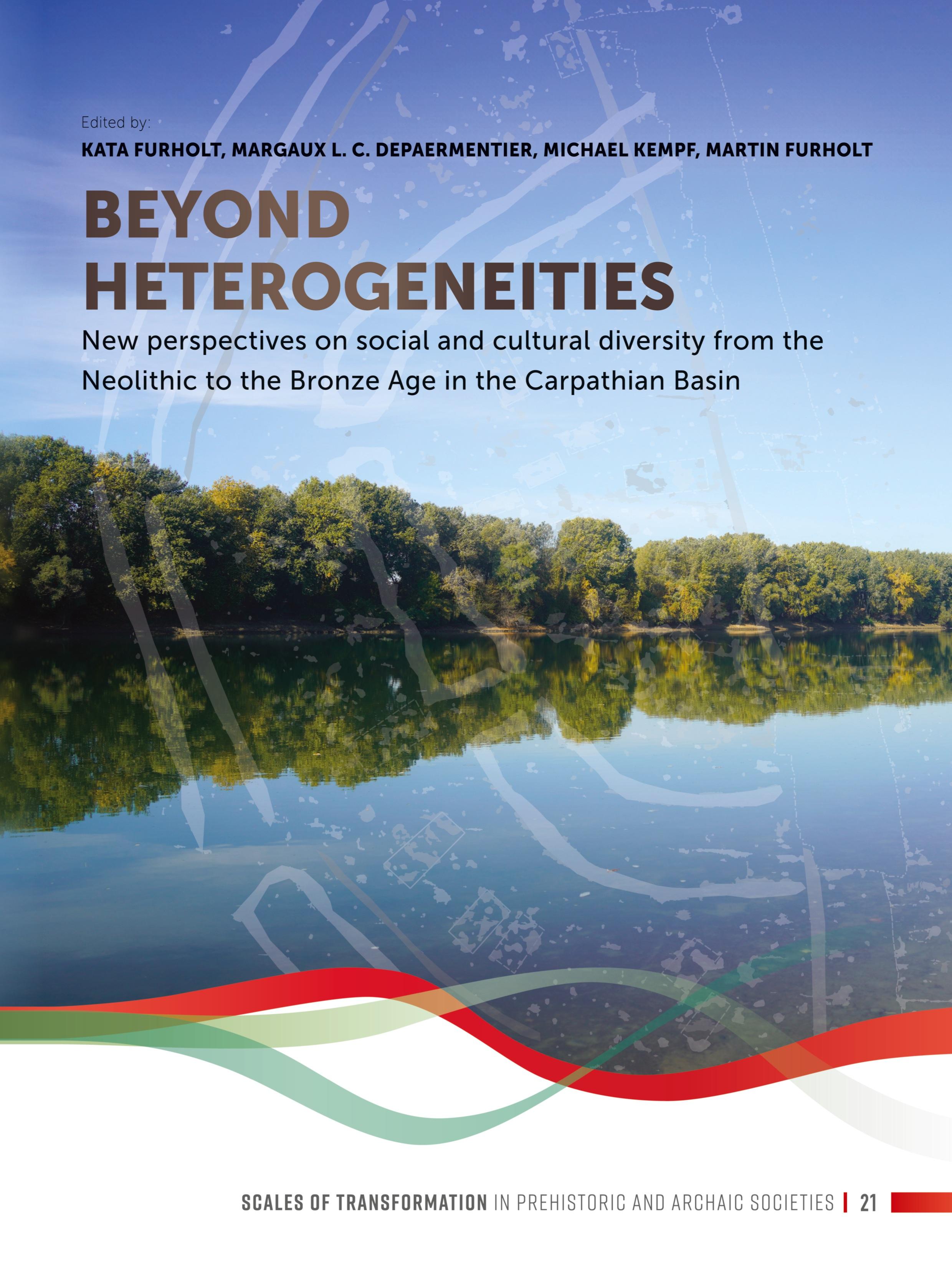 Vorderes Coverbild Beyond heterogeneities