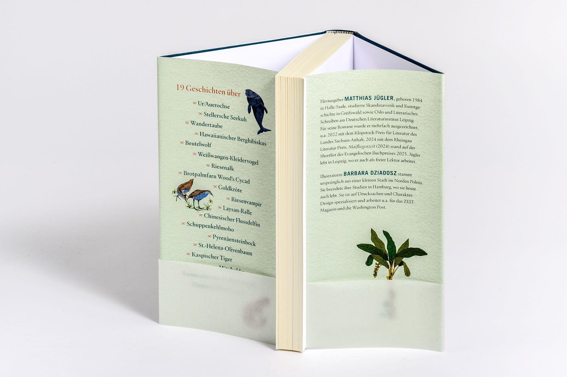 Beispielinhalt (Bild) Wir dachten, wir könnten fliegen