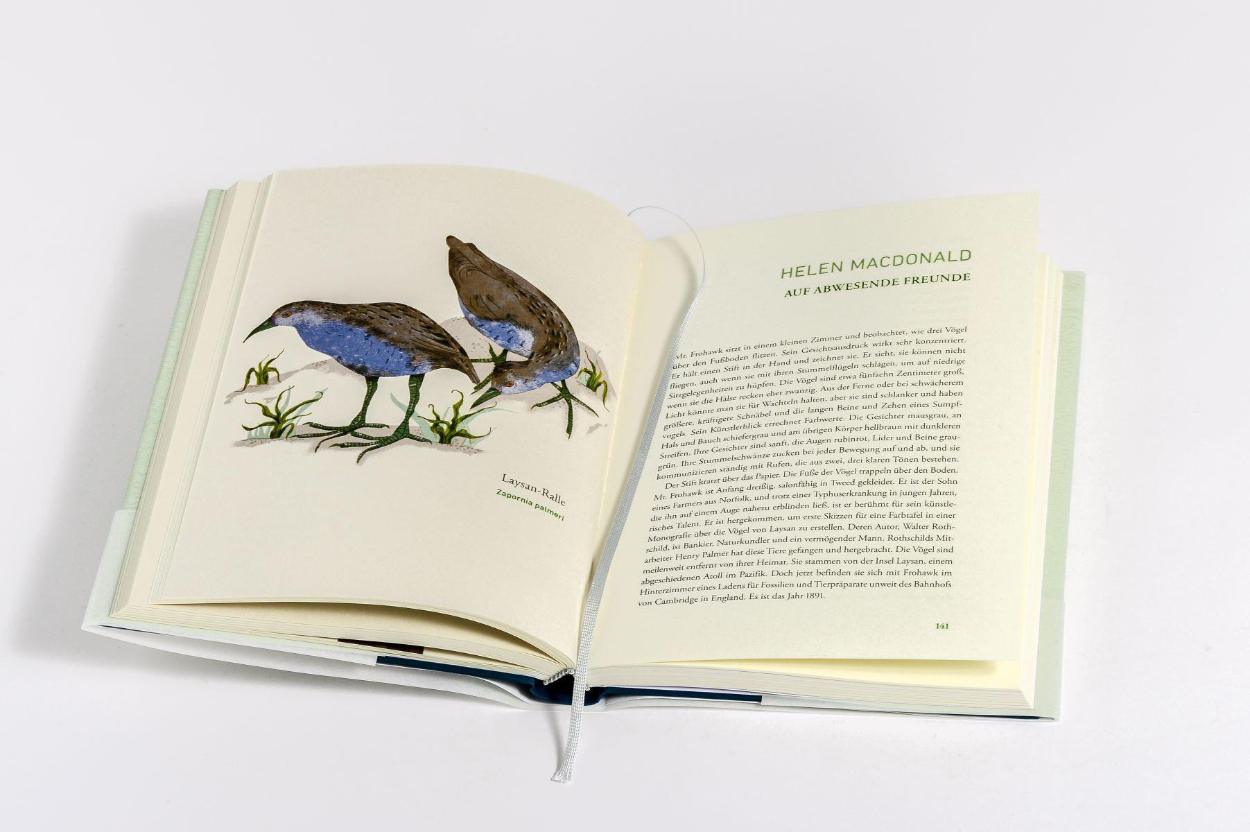 Beispielinhalt (Bild) Wir dachten, wir könnten fliegen