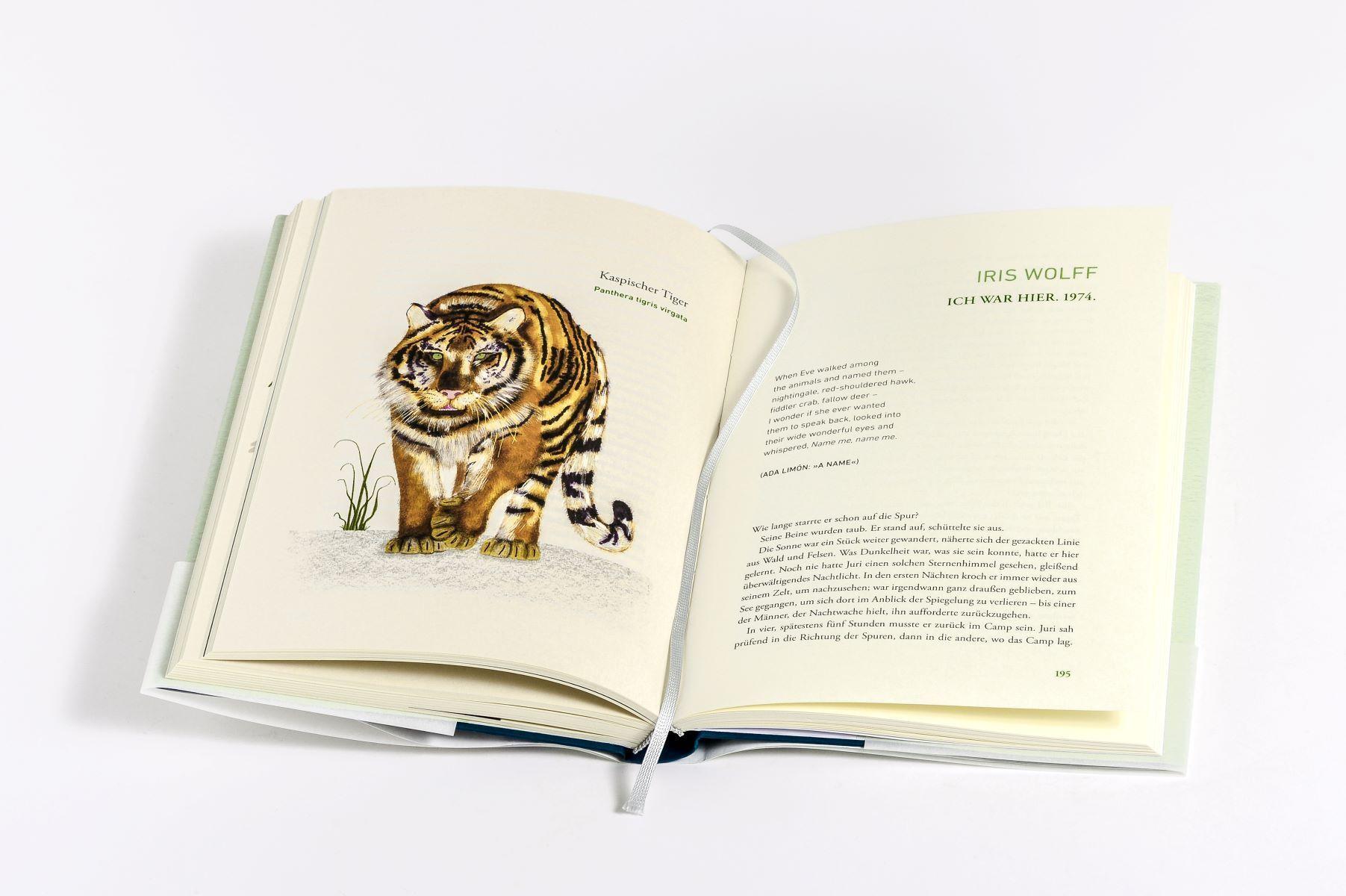 Beispielinhalt (Bild) Wir dachten, wir könnten fliegen