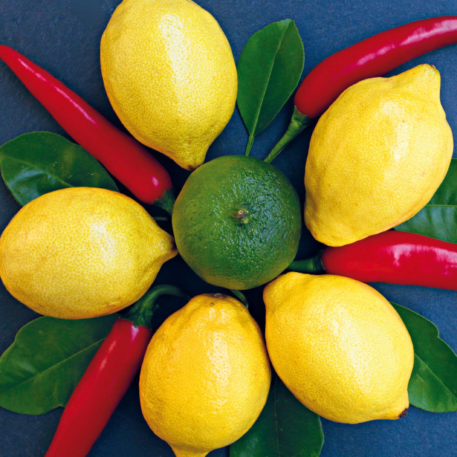 Beispielinhalt (Bild) Gute Laune Block Schreibmaschine