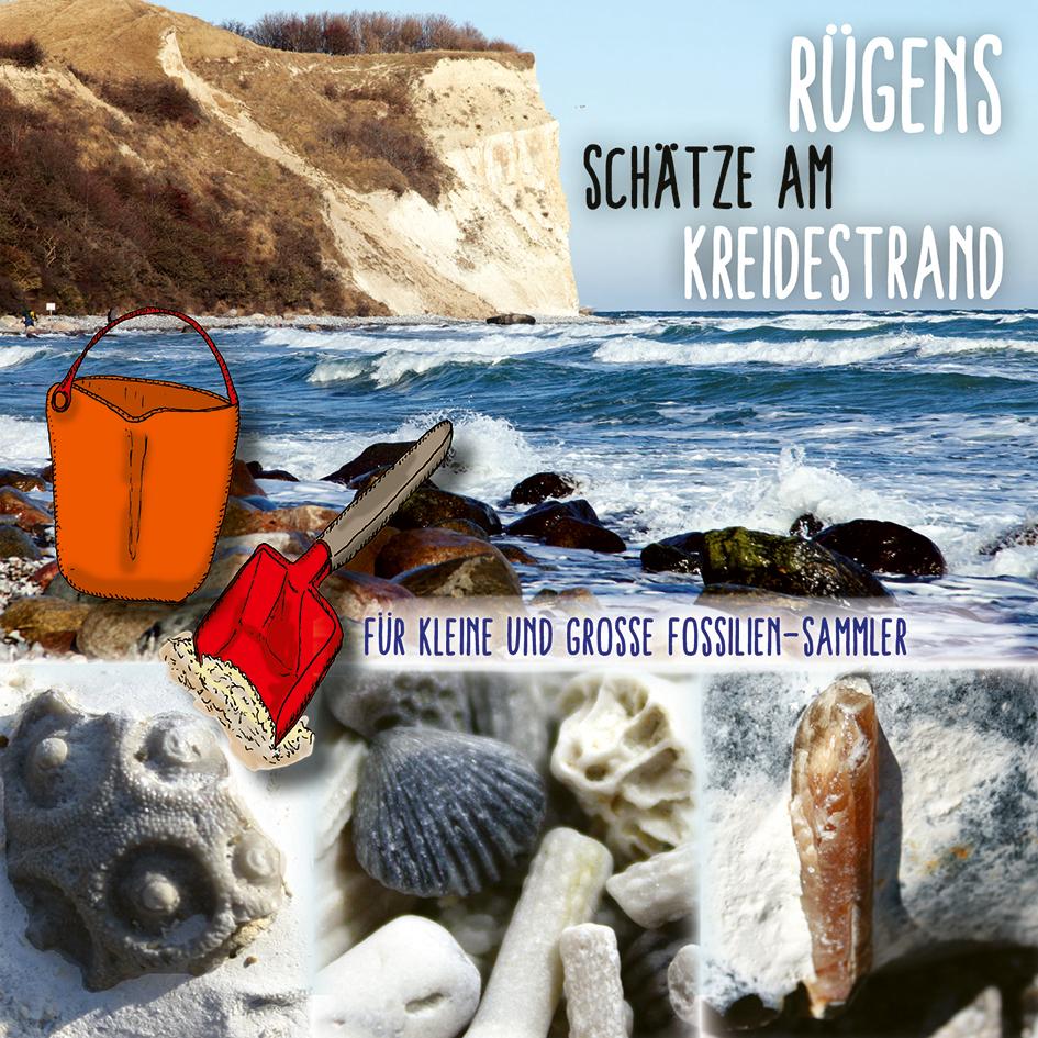 Vorderes Coverbild Rügens Schätze am Kreidestrand - Für kleine und große Fossiliensammler