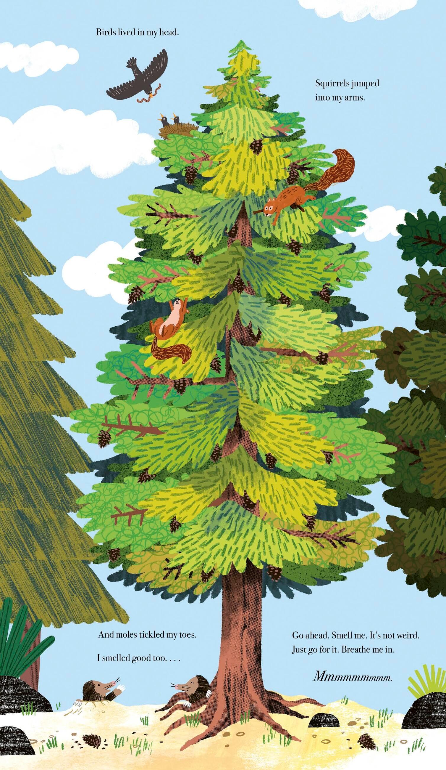 Beispielinhalt (Bild) Once I Was a Tree