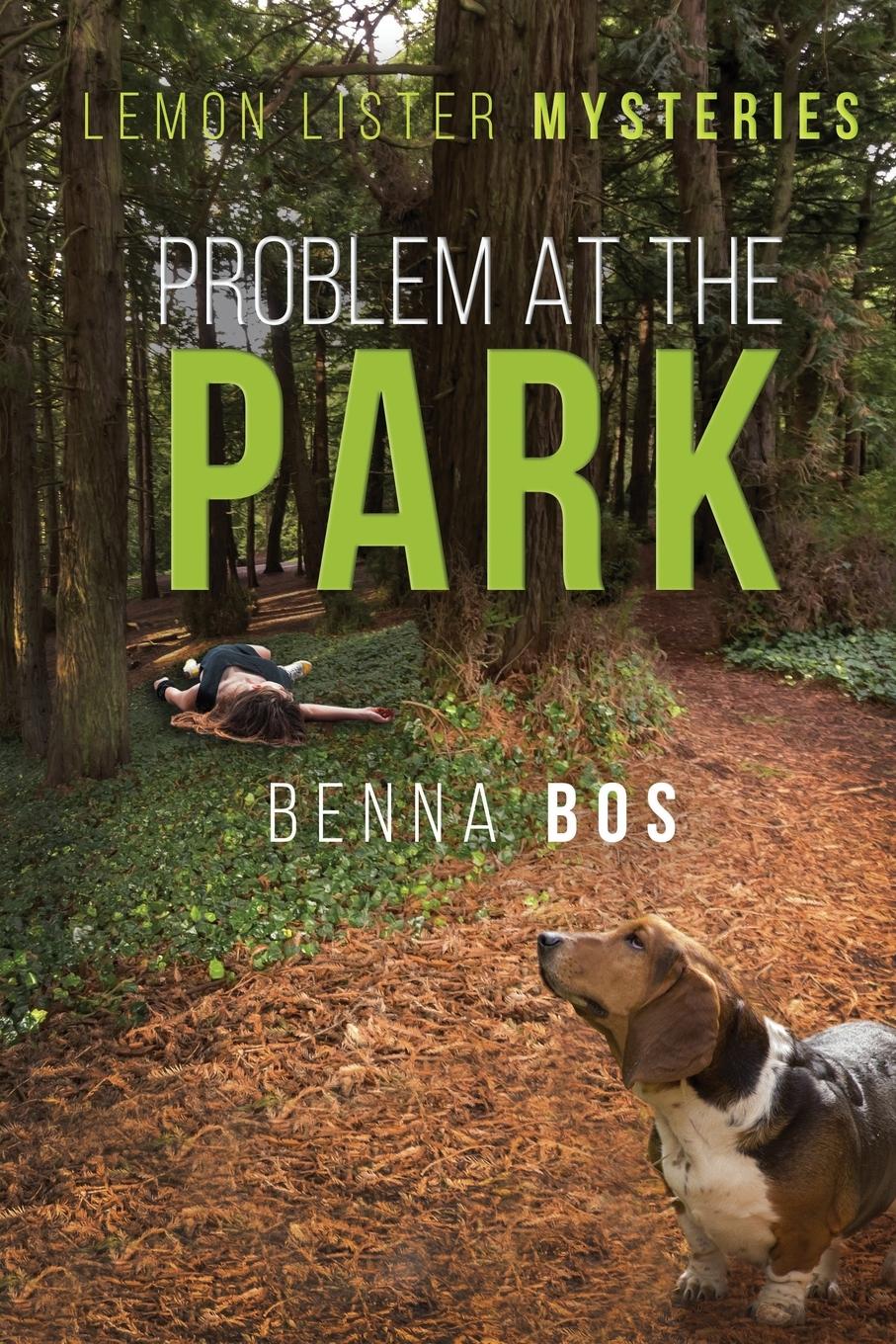 Vorderes Coverbild Problem At the Park