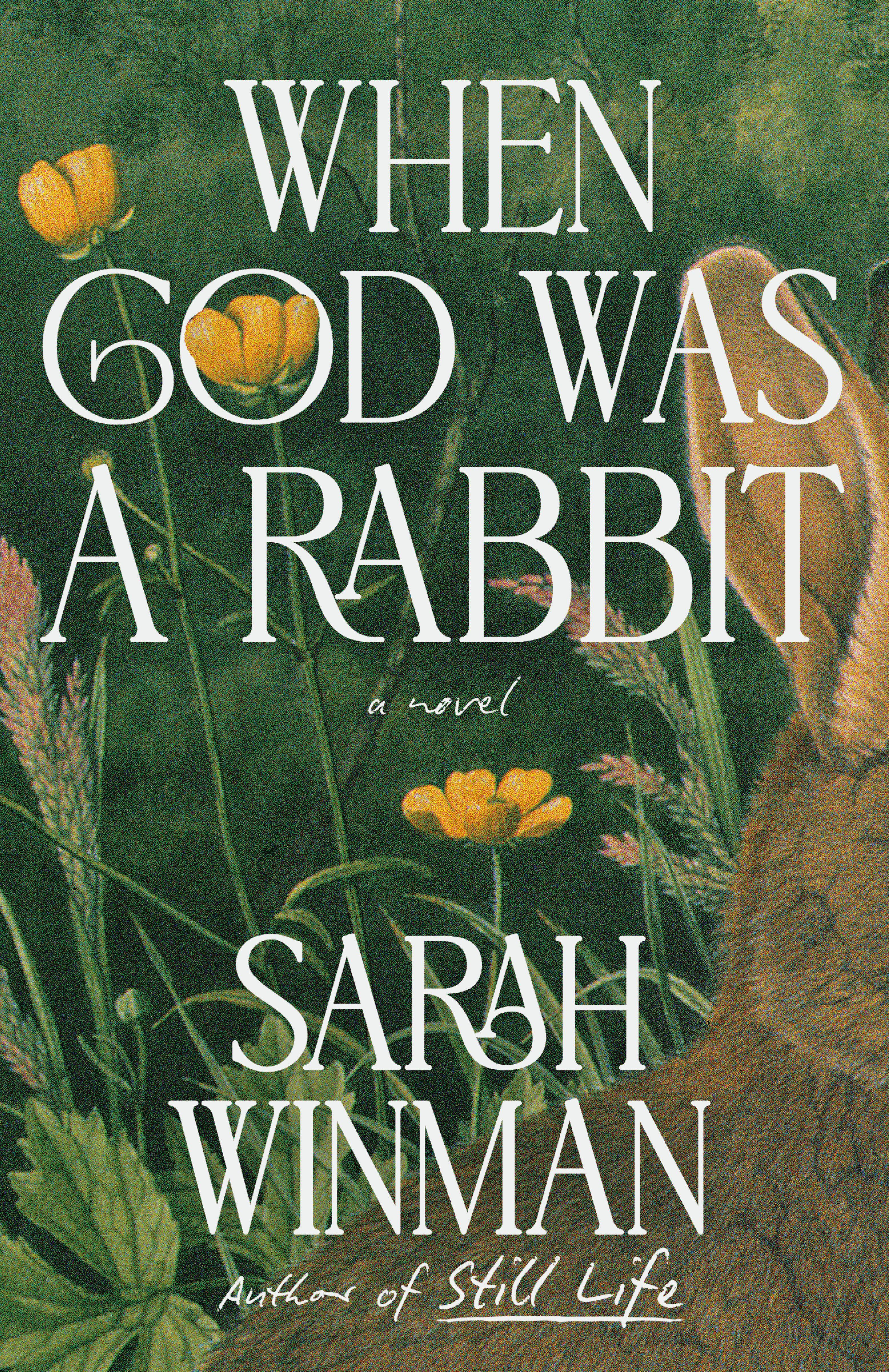 Vorderes Coverbild When God Was a Rabbit