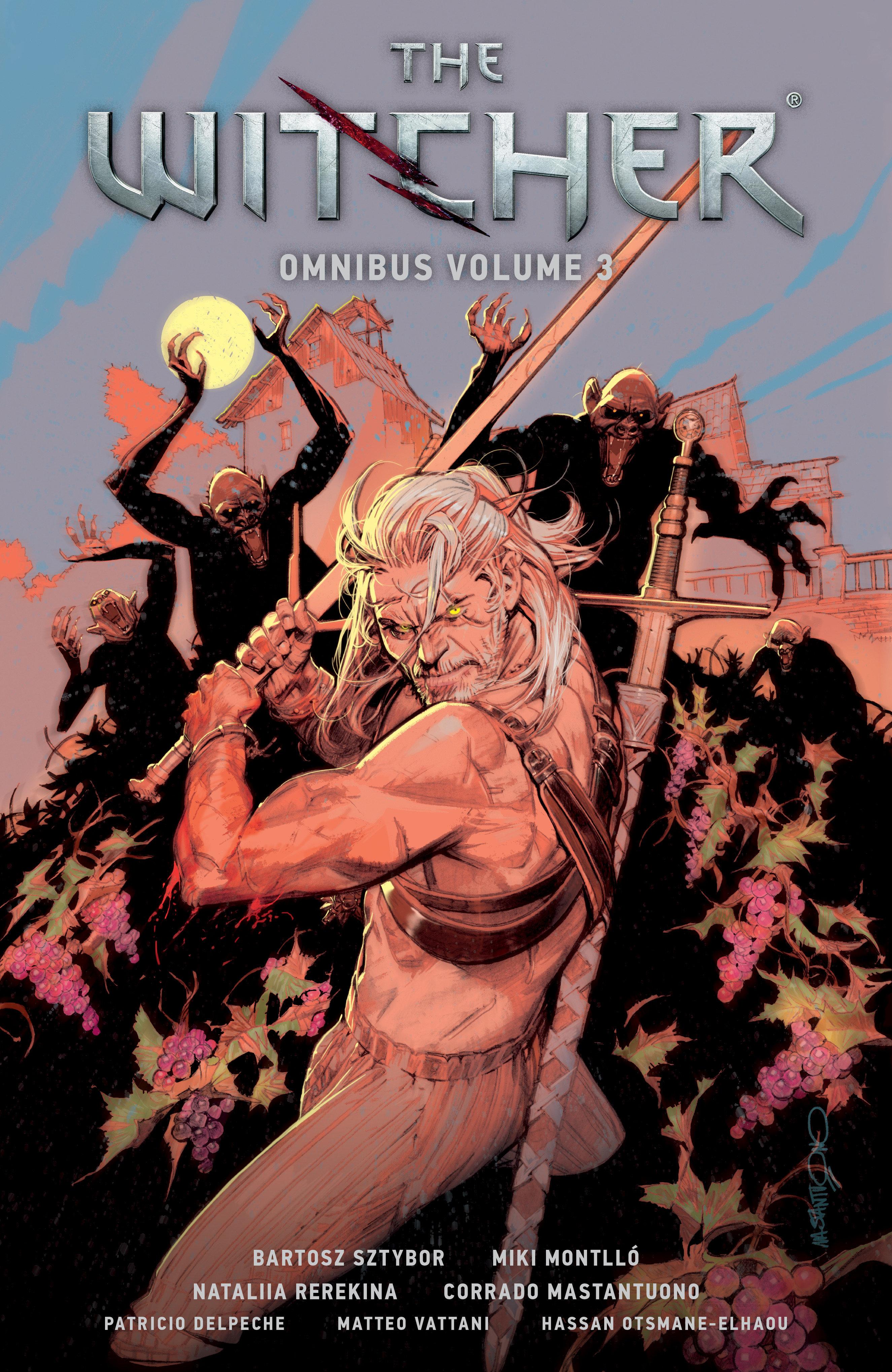 Vorderes Coverbild The Witcher Omnibus Volume 3