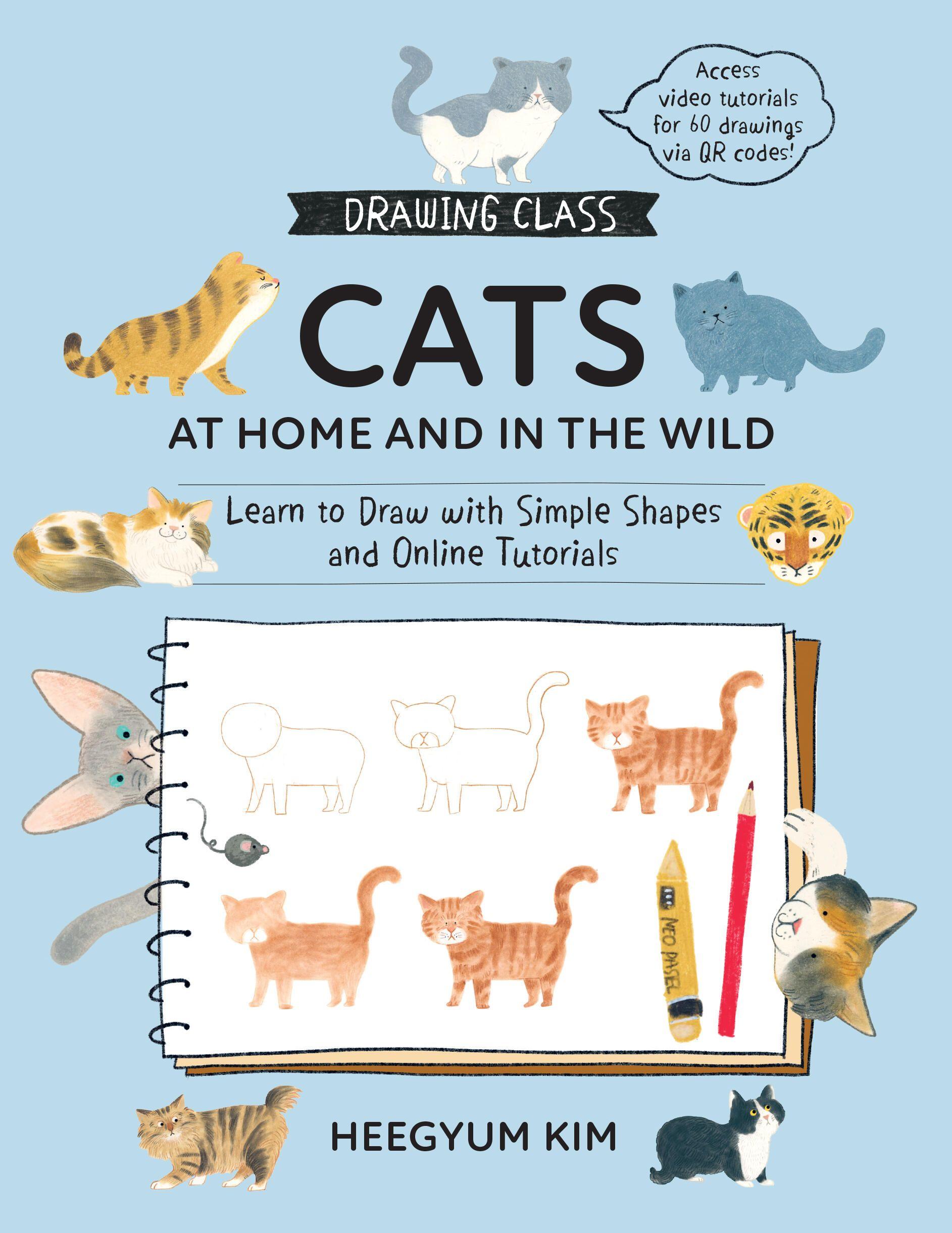 Vorderes Coverbild Drawing Class: Cats at Home and in the Wild