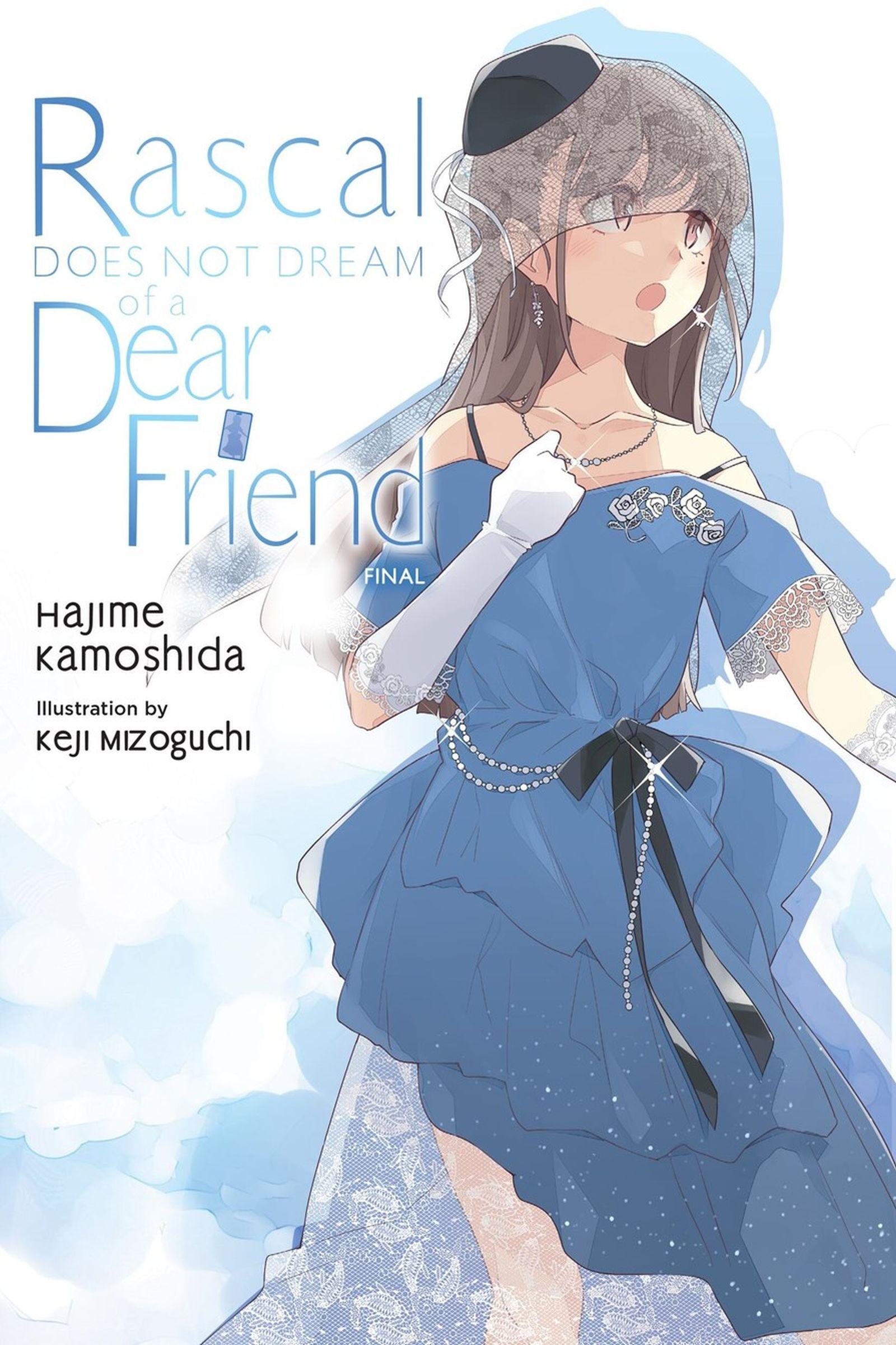 Vorderes Coverbild Rascal Does Not Dream of a Dear Friend (Light Novel)
