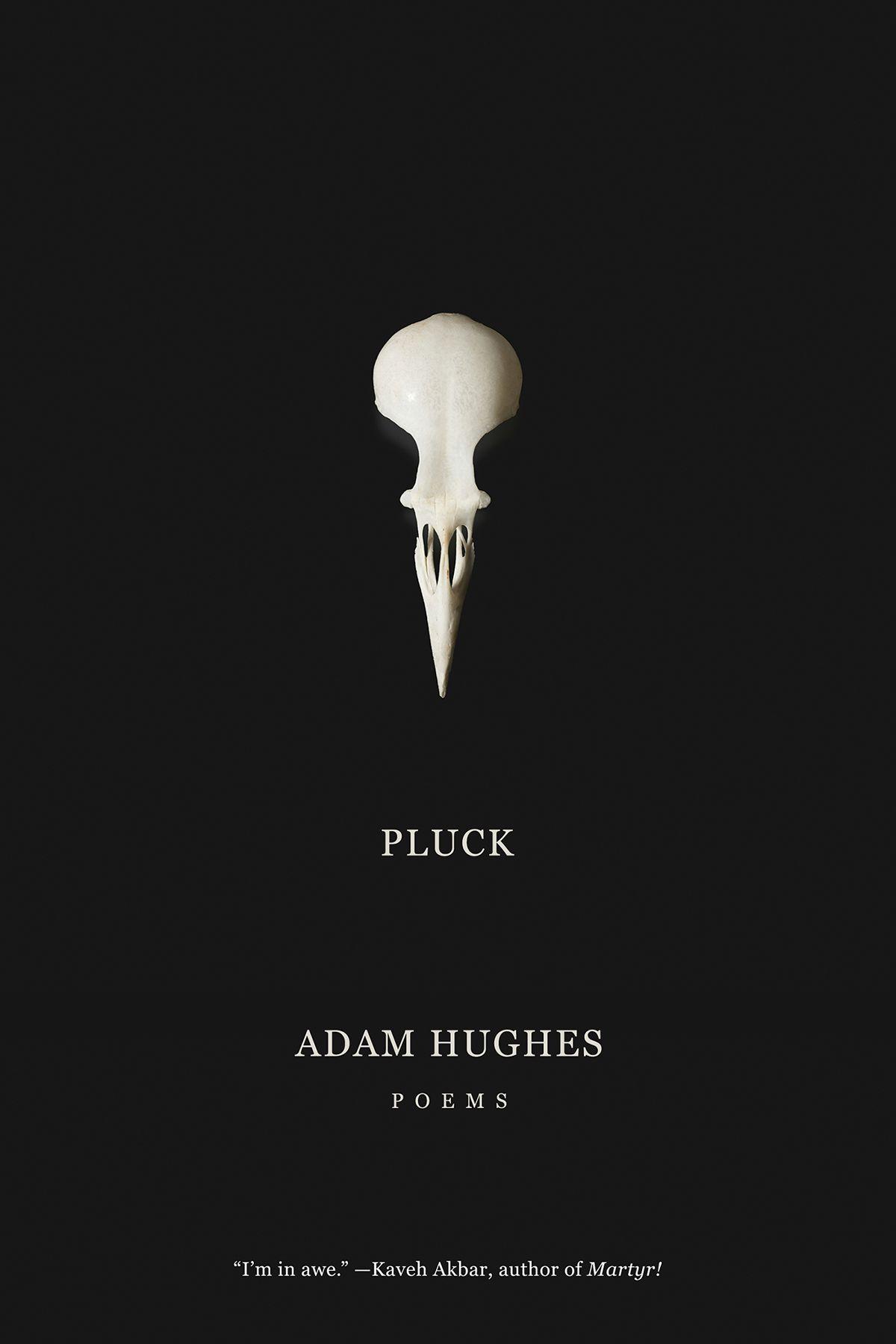 Vorderes Coverbild Pluck