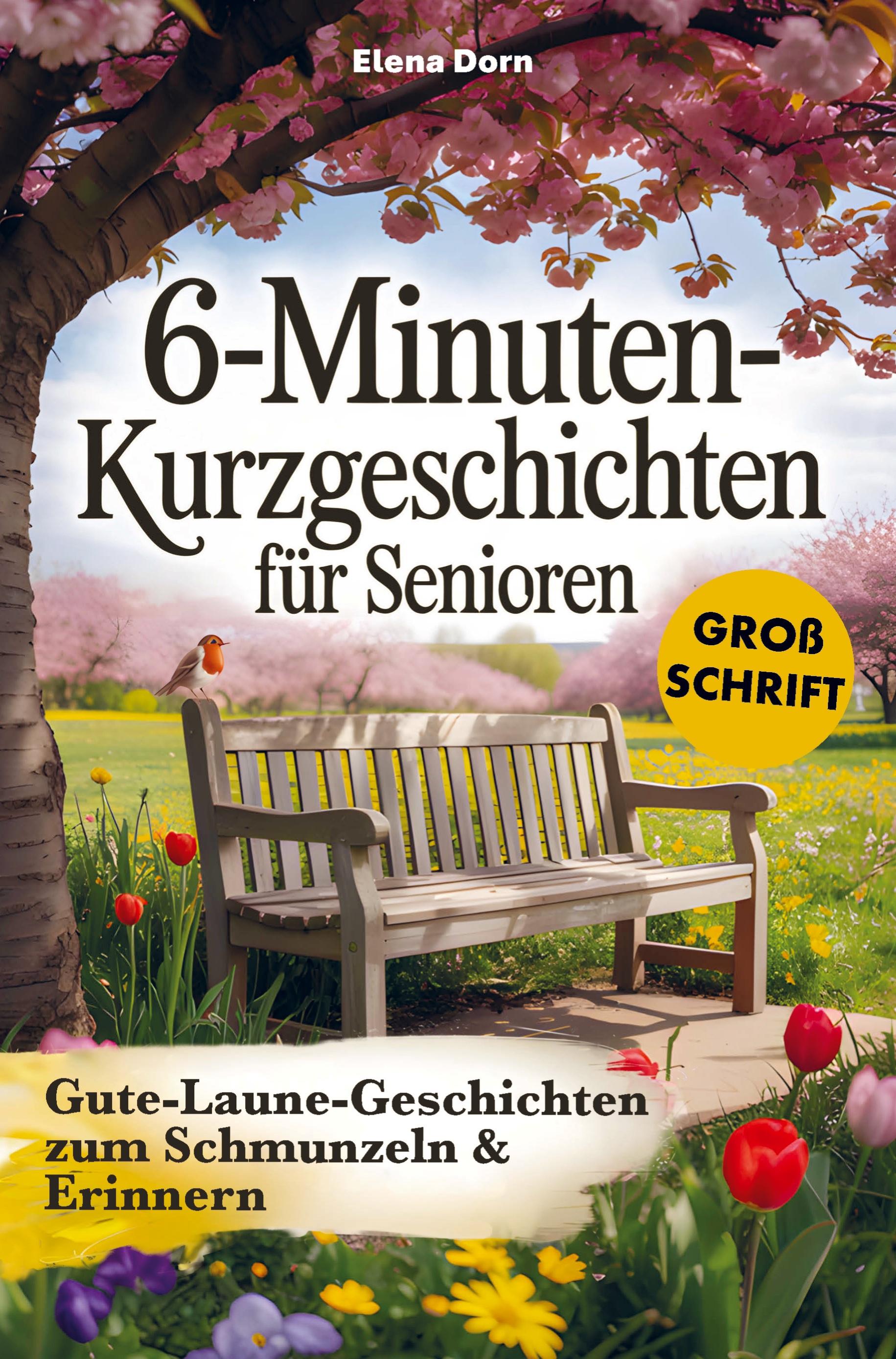 Vorderes Coverbild 6-Minuten Kurzgeschichten für Senioren
