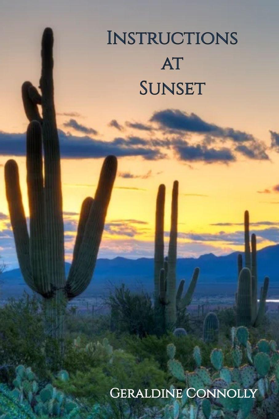 Vorderes Coverbild Instructions at Sunset