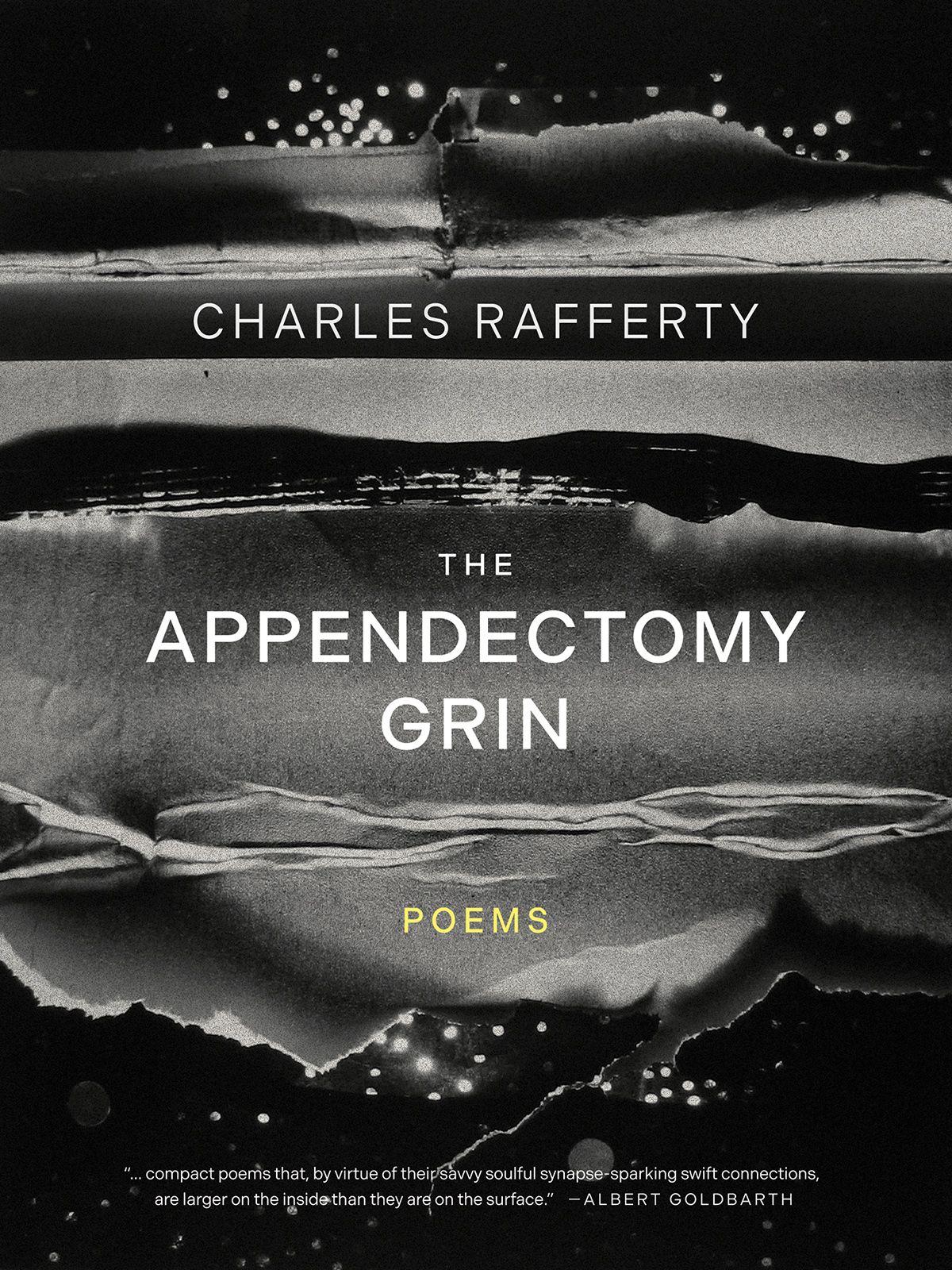 Vorderes Coverbild The Appendectomy Grin