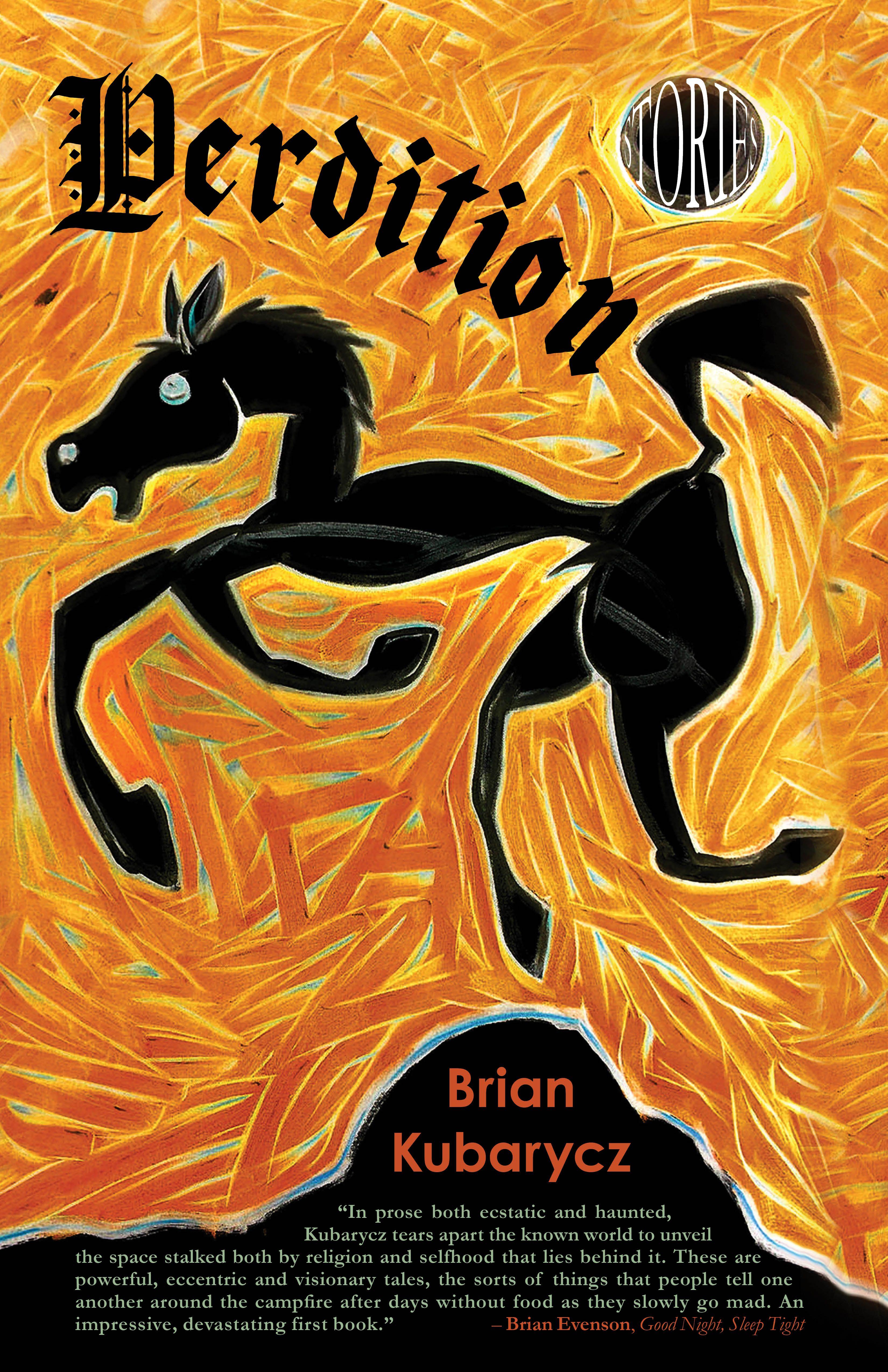 Vorderes Coverbild Perdition