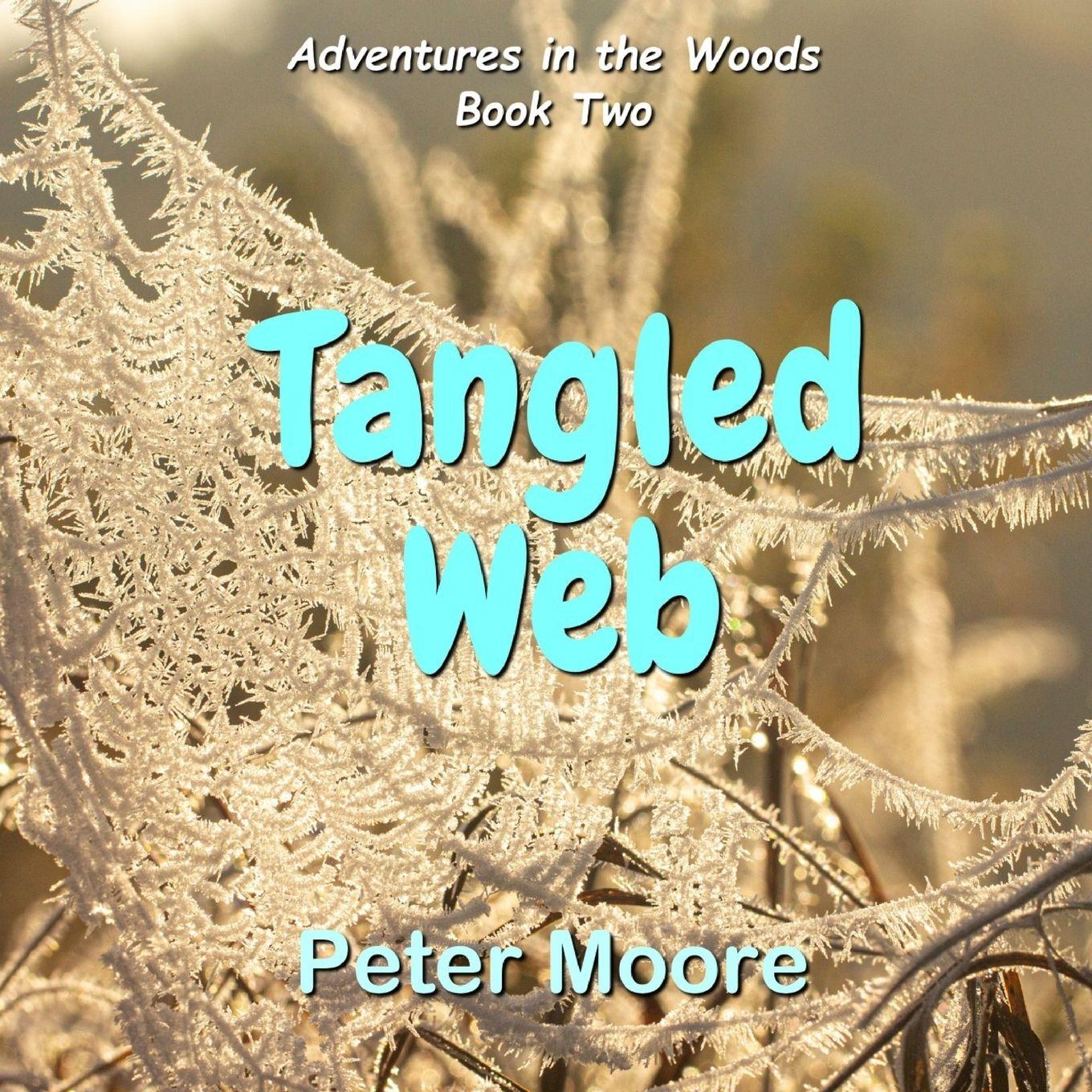 Vorderes Coverbild Tangled Web