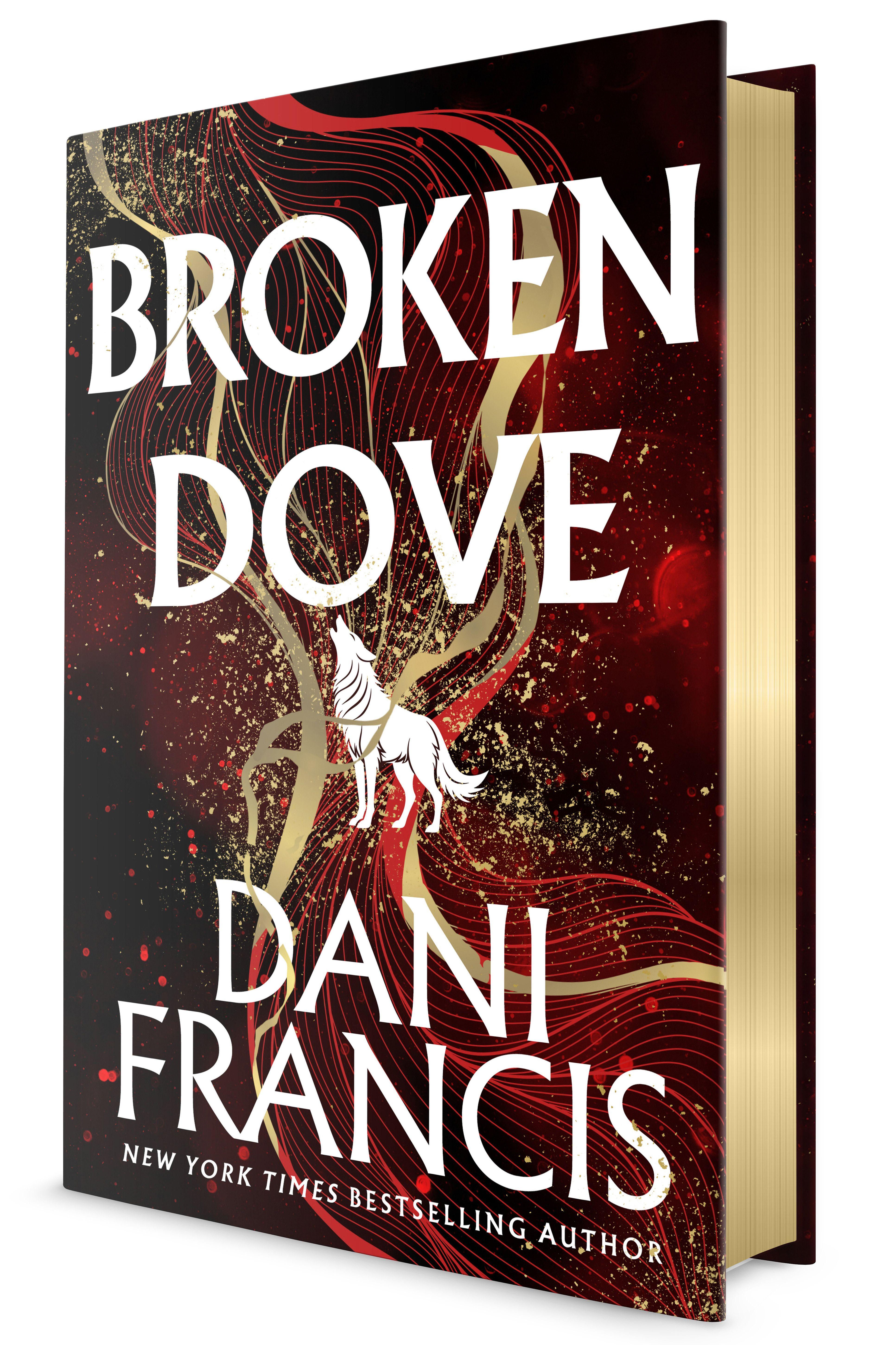 Vorderes Coverbild Broken Dove