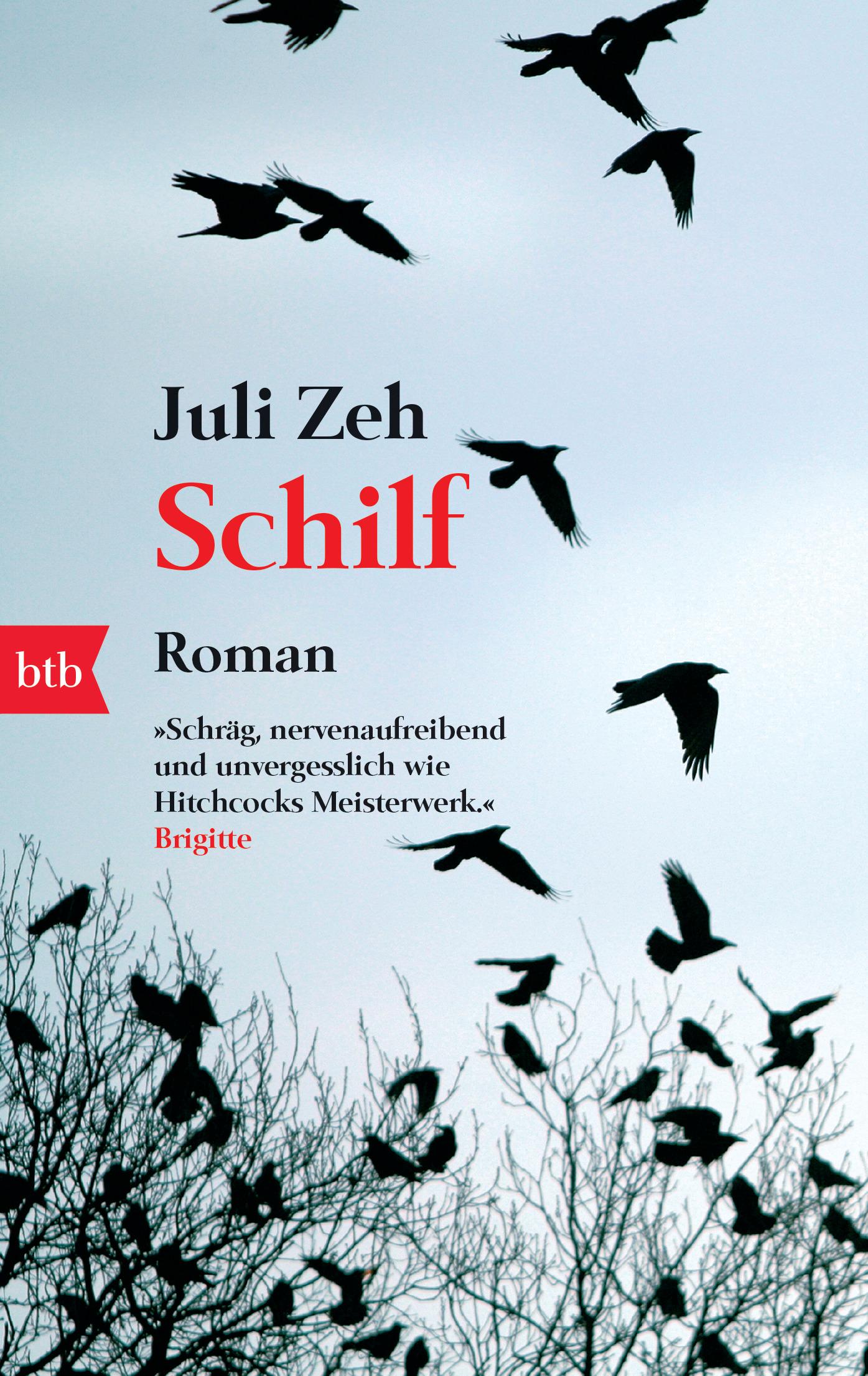 Vorderes Coverbild Schilf