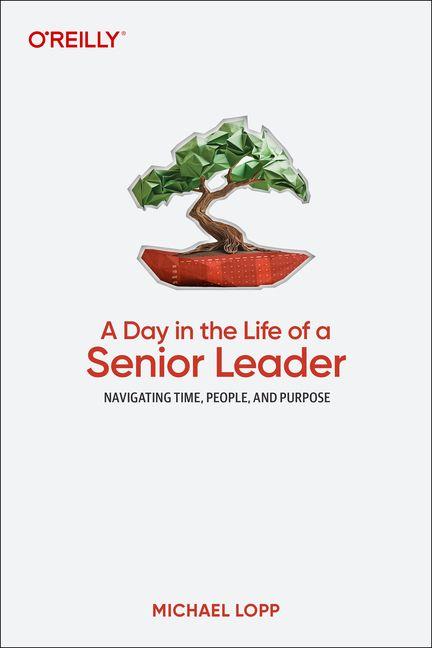 Vorderes Coverbild A Day in the Life of a Senior Leader