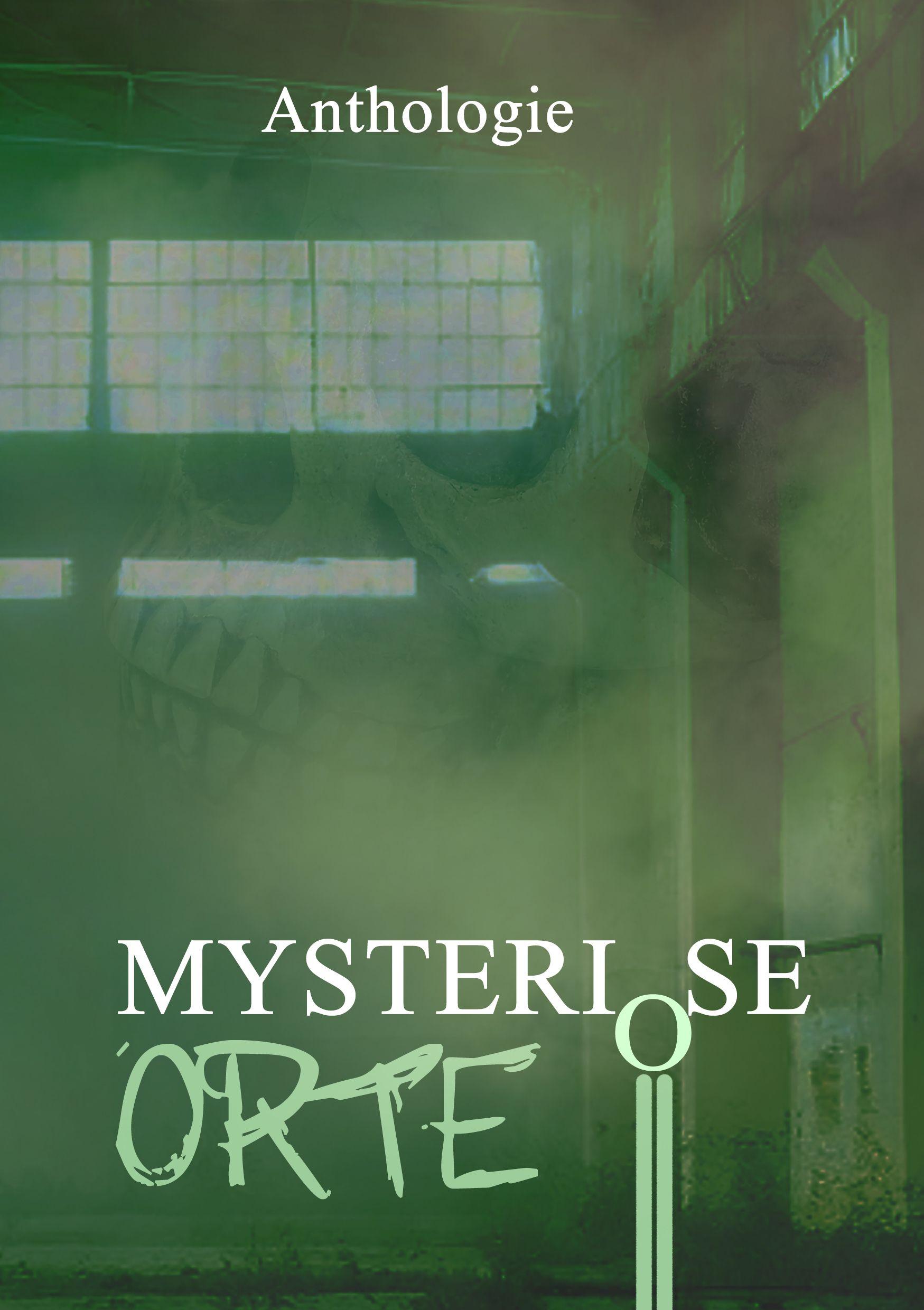 Vorderes Coverbild Mysteriöse Orte