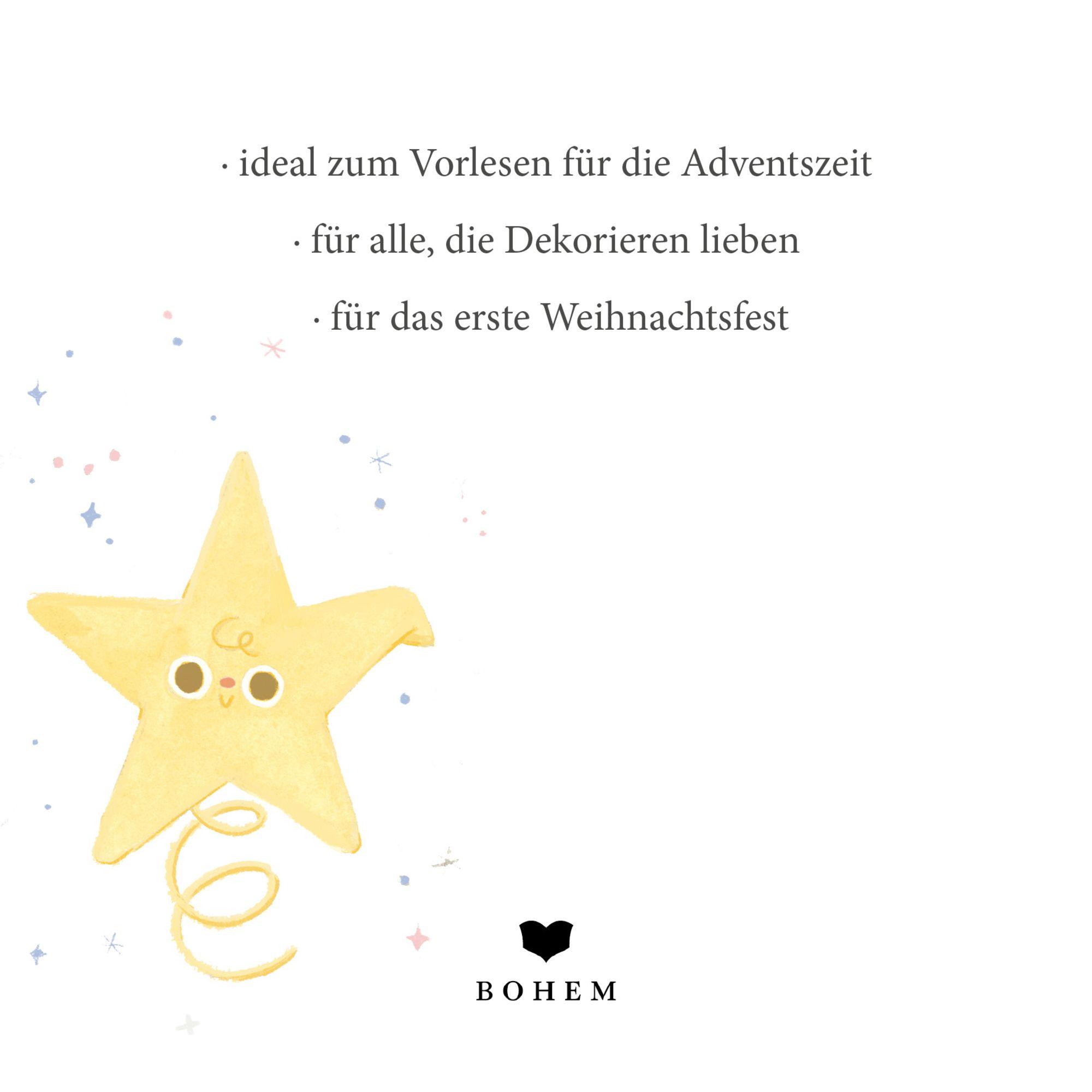 Beispielinhalt (Bild) Das kleine Weihnachtssternchen