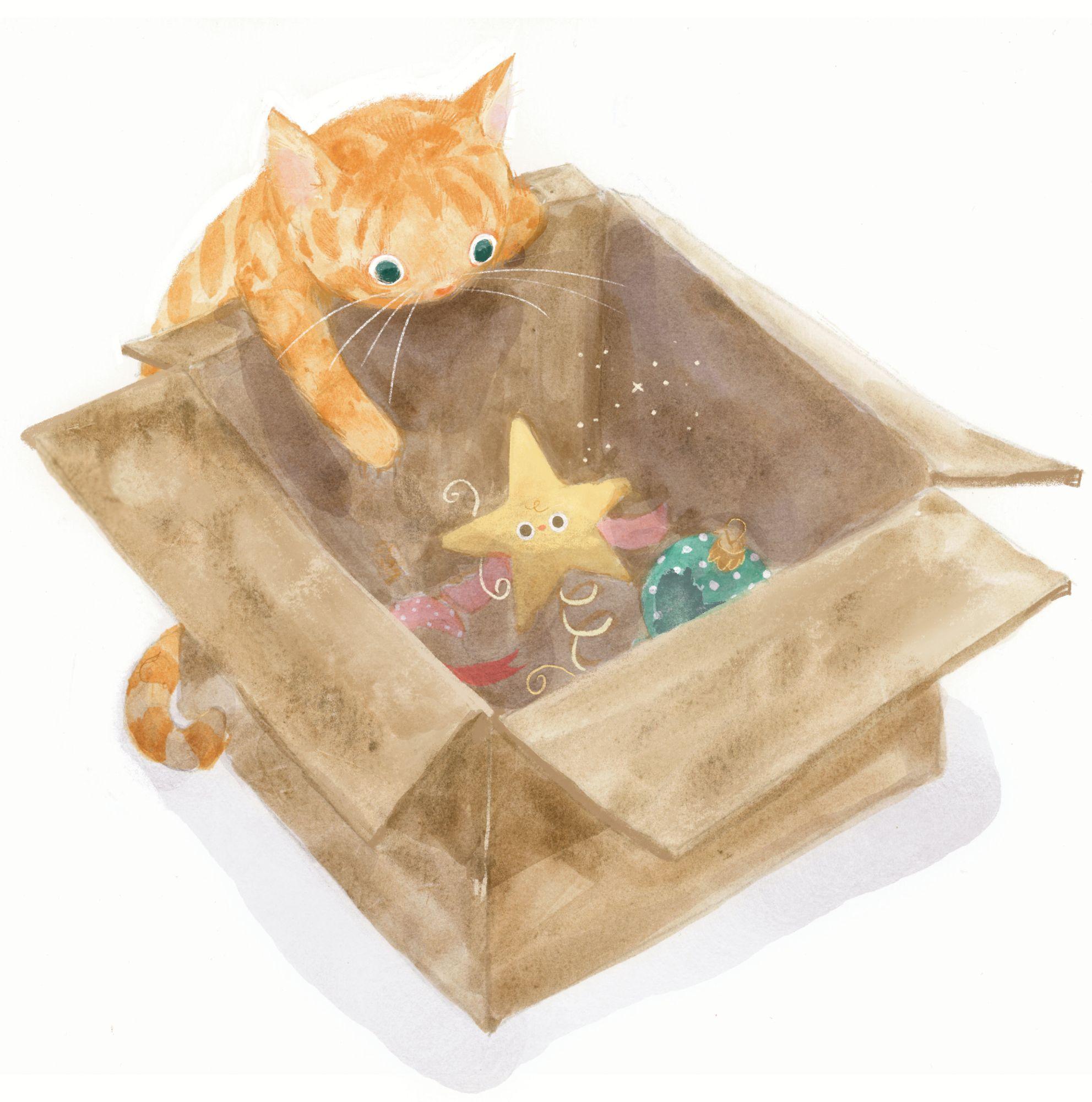 Beispielinhalt (Bild) Das kleine Weihnachtssternchen