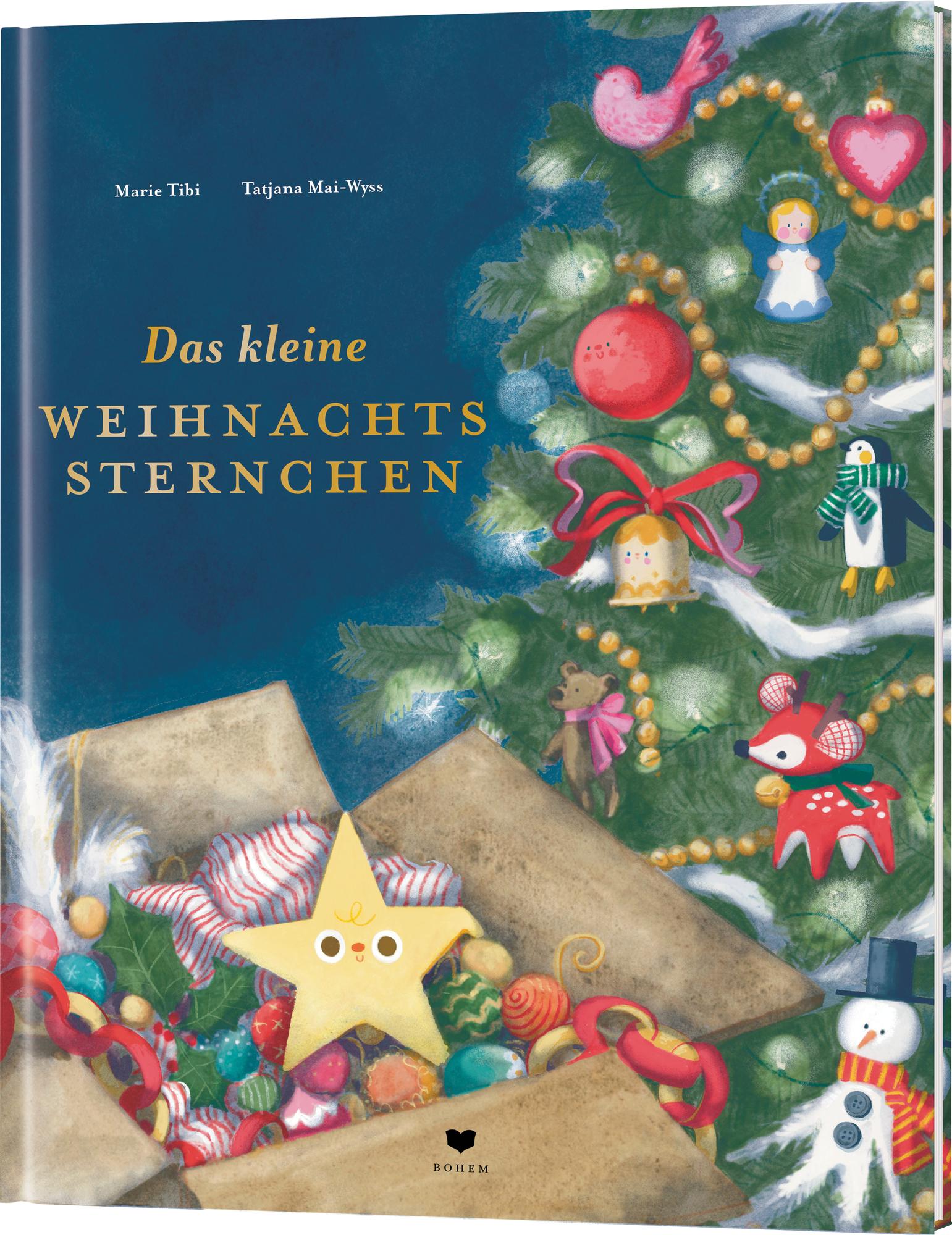 Vorderes Coverbild Das kleine Weihnachtssternchen