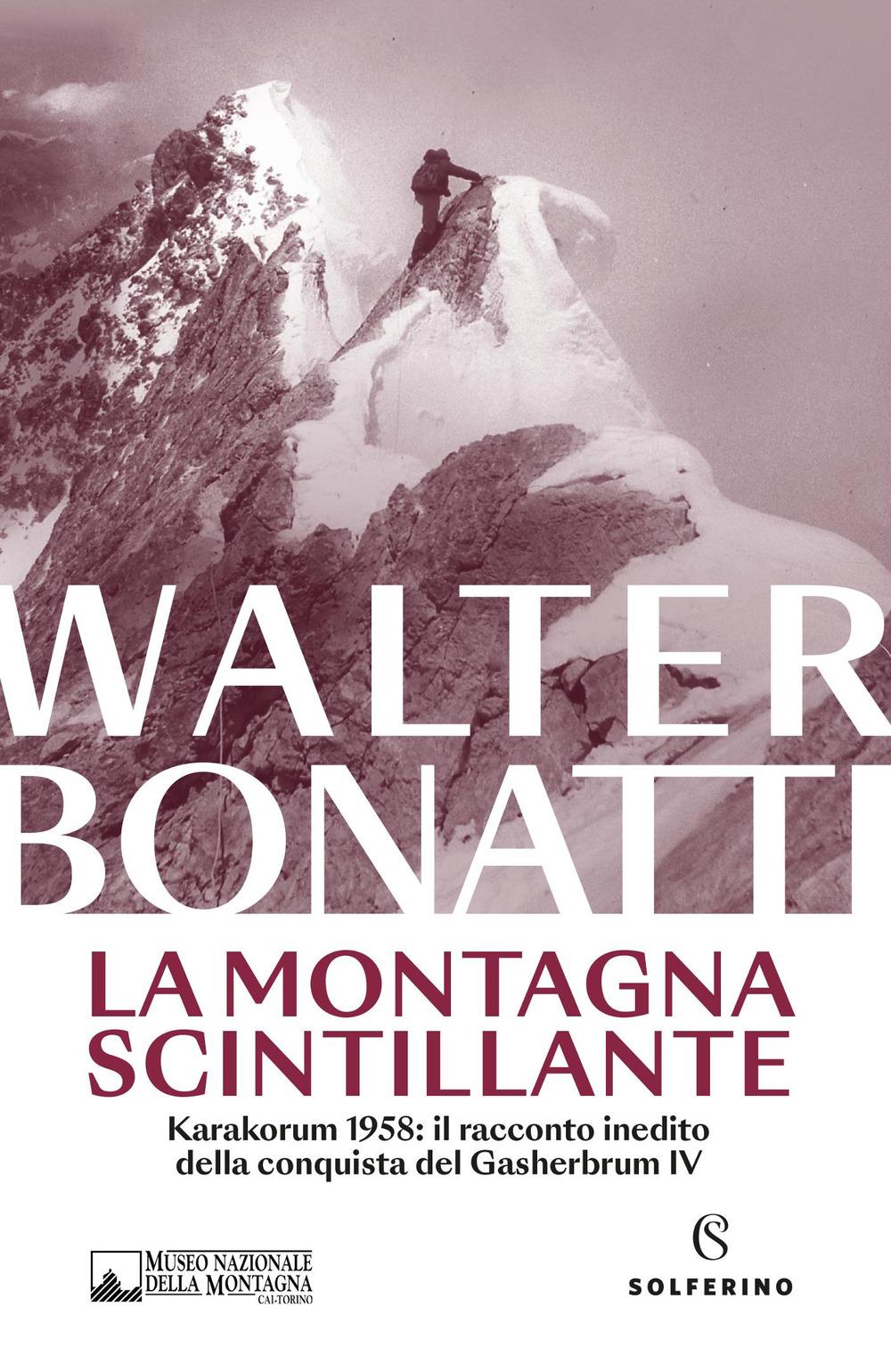 Vorderes Coverbild La montagna scintillante