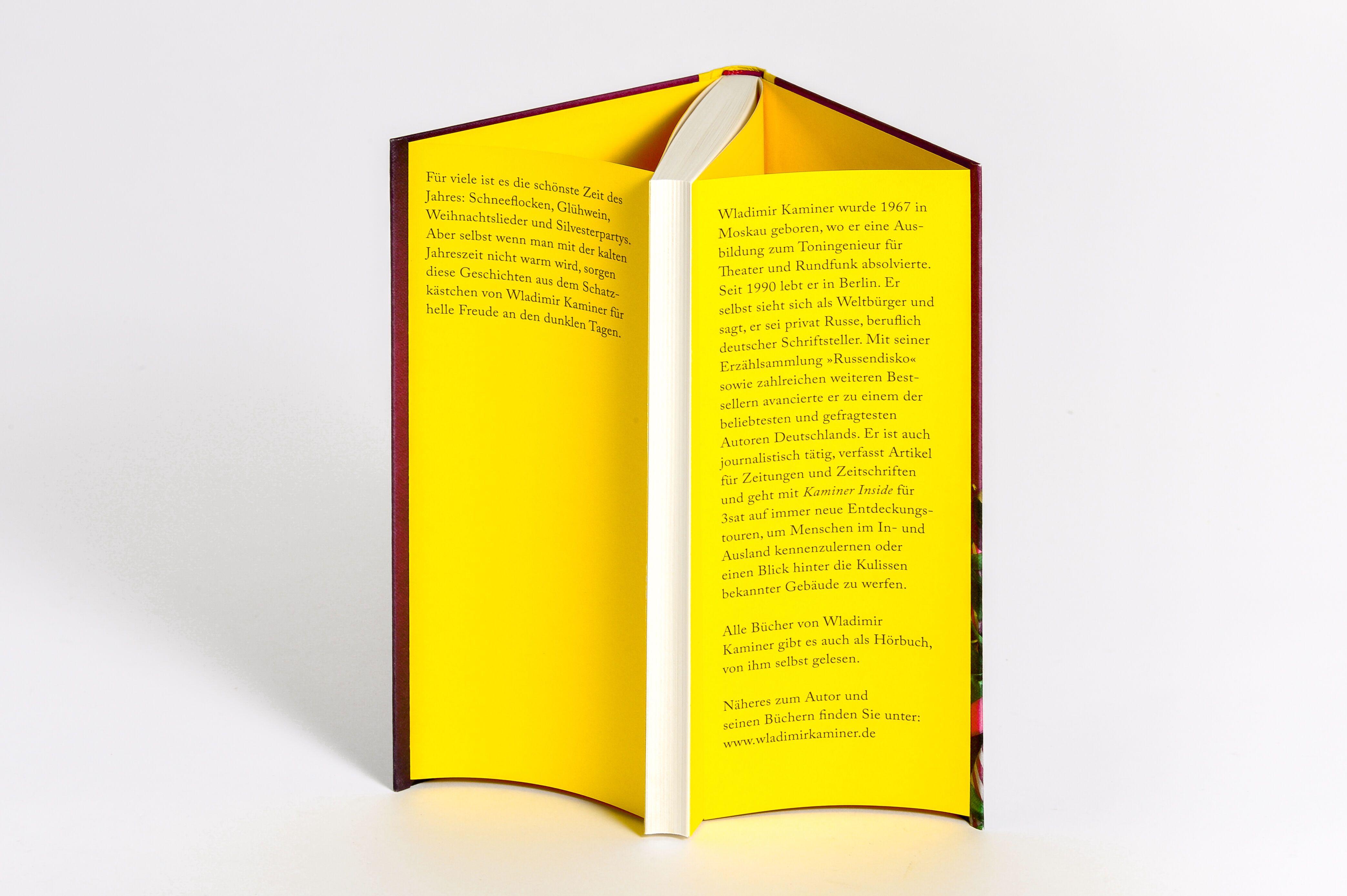 Beispielinhalt (Bild) Schöne Bescherung - Wladimir Kaminers Wintergeschichten