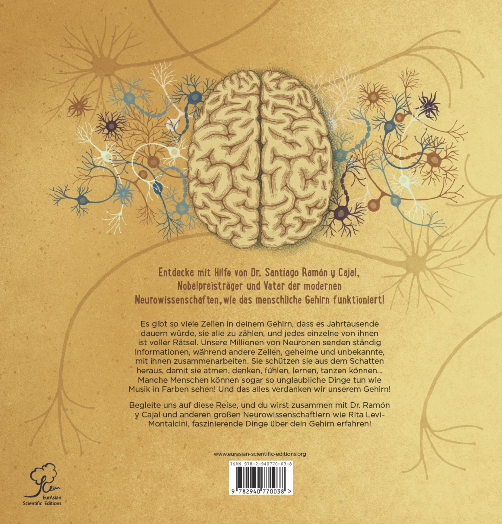 Rückseitencover Das Menschliche Gehirn