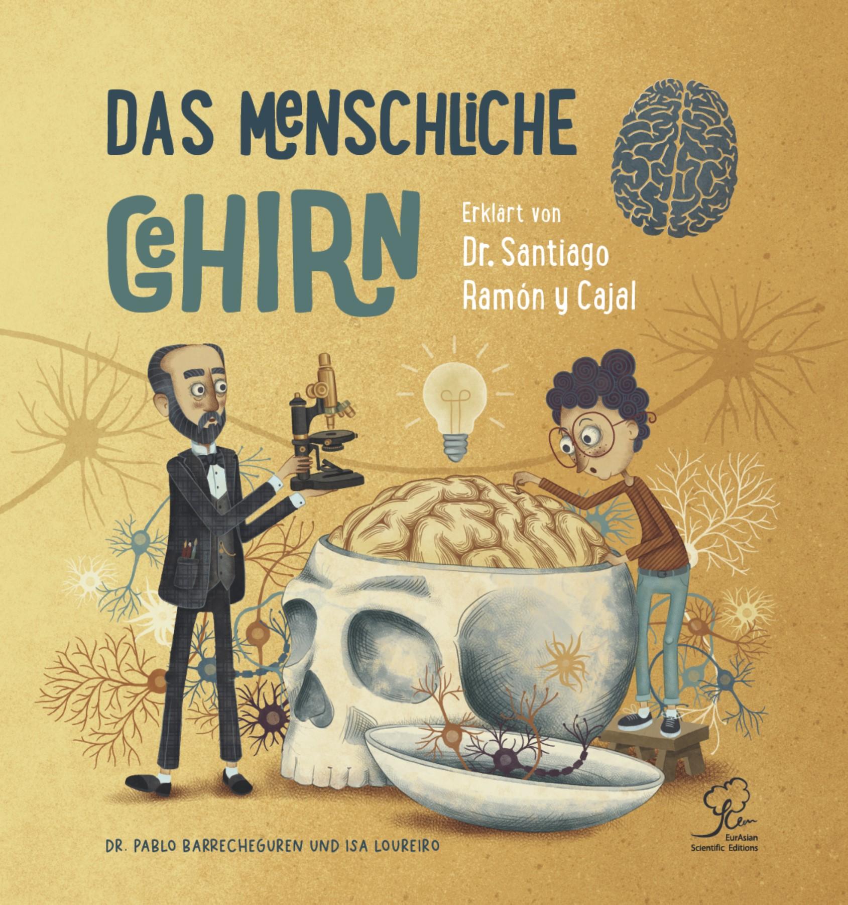 Vorderes Coverbild Das Menschliche Gehirn