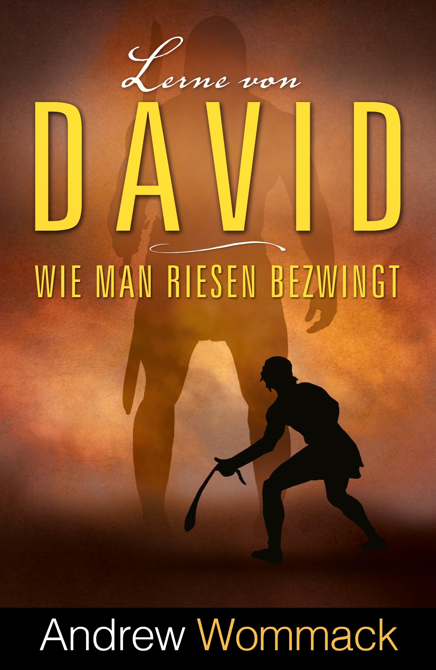 Vorderes Coverbild Lerne von David
