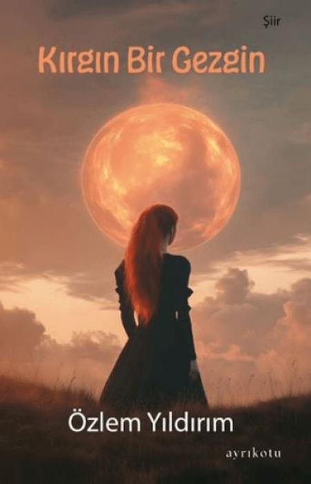 Vorderes Coverbild Kirgin Bir Gezgin