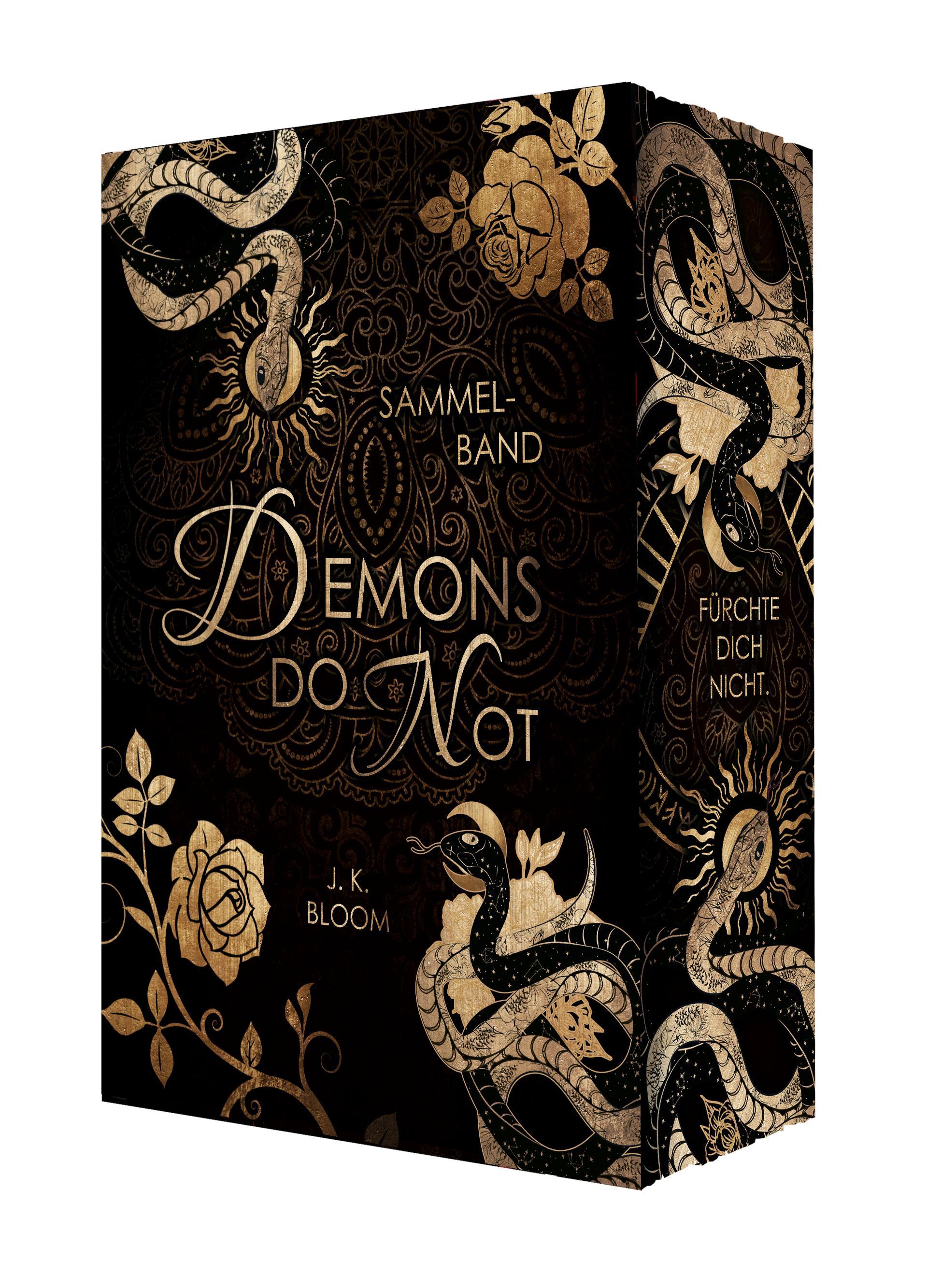 Vorderes Coverbild Demons do not