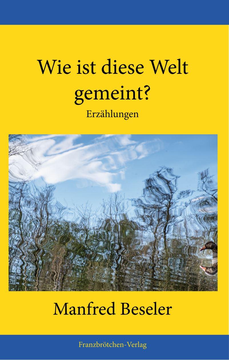 Vorderes Coverbild Wie ist diese Welt gemeint?
