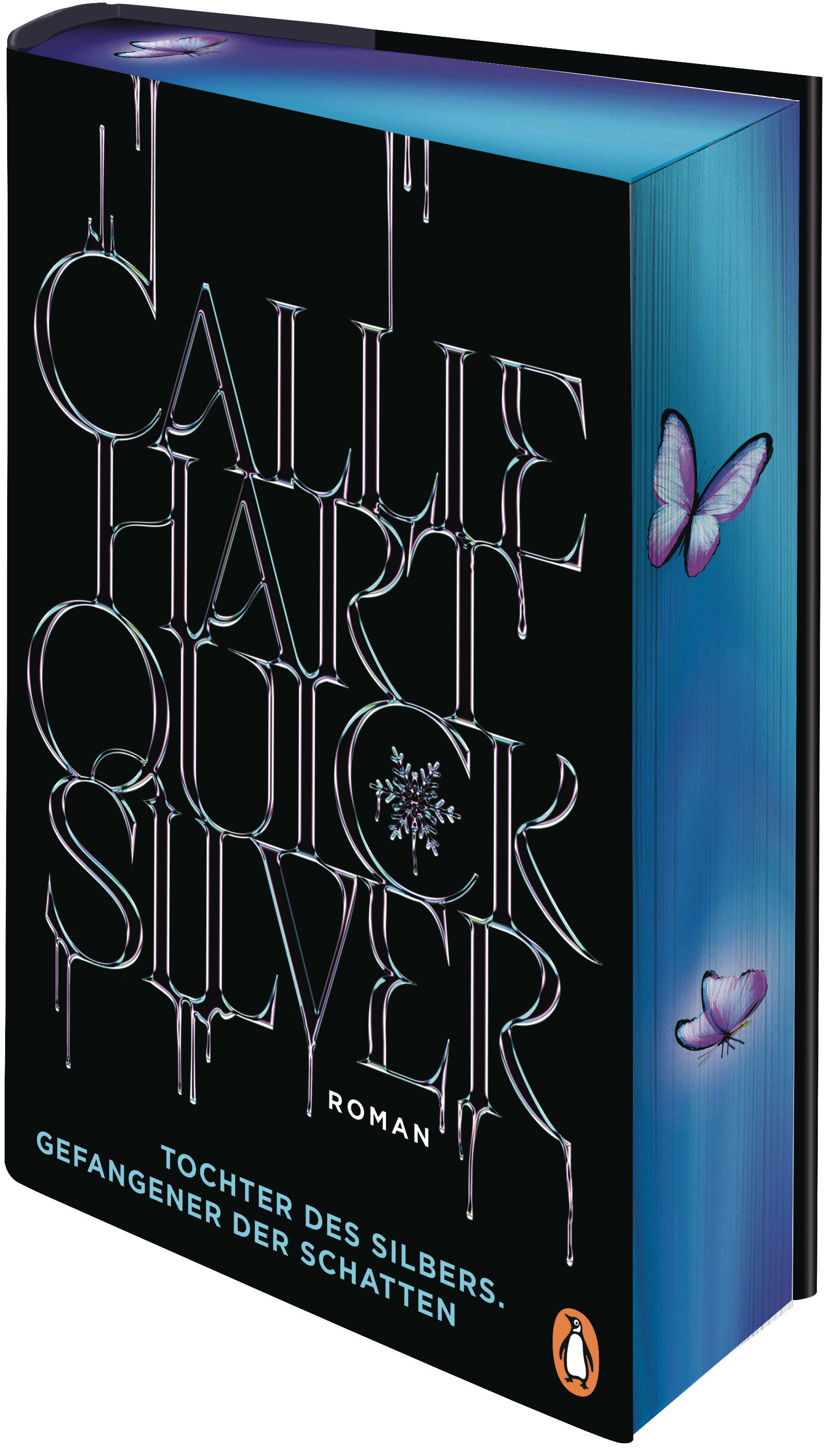 Vorderes Coverbild Quicksilver - Tochter des Silbers. Gefangener der Schatten