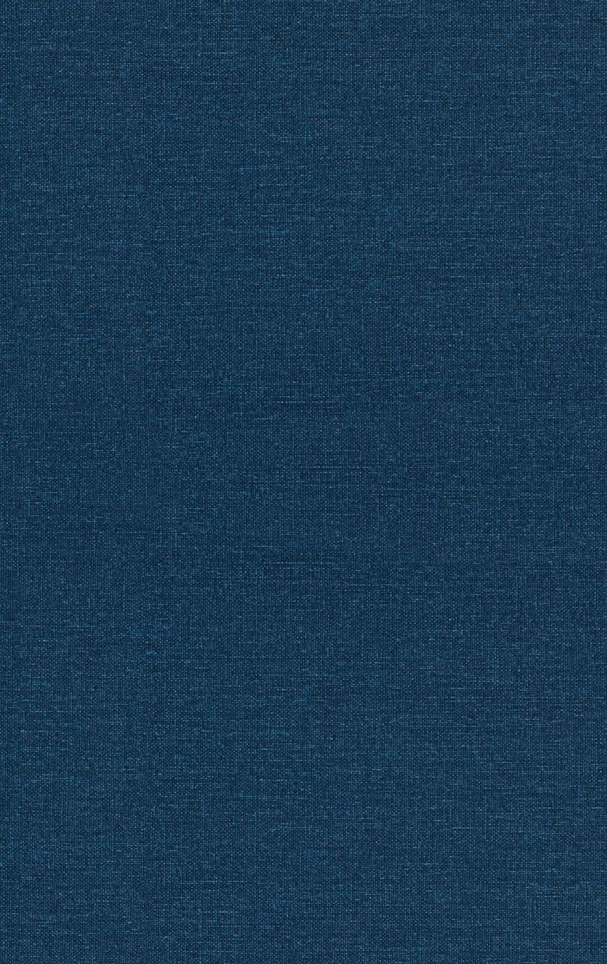 Vorderes Coverbild The Principles of Quantum Mechanics