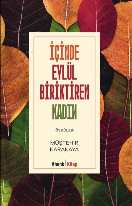 Vorderes Coverbild Icinde Eylül Biriktiren Kadin