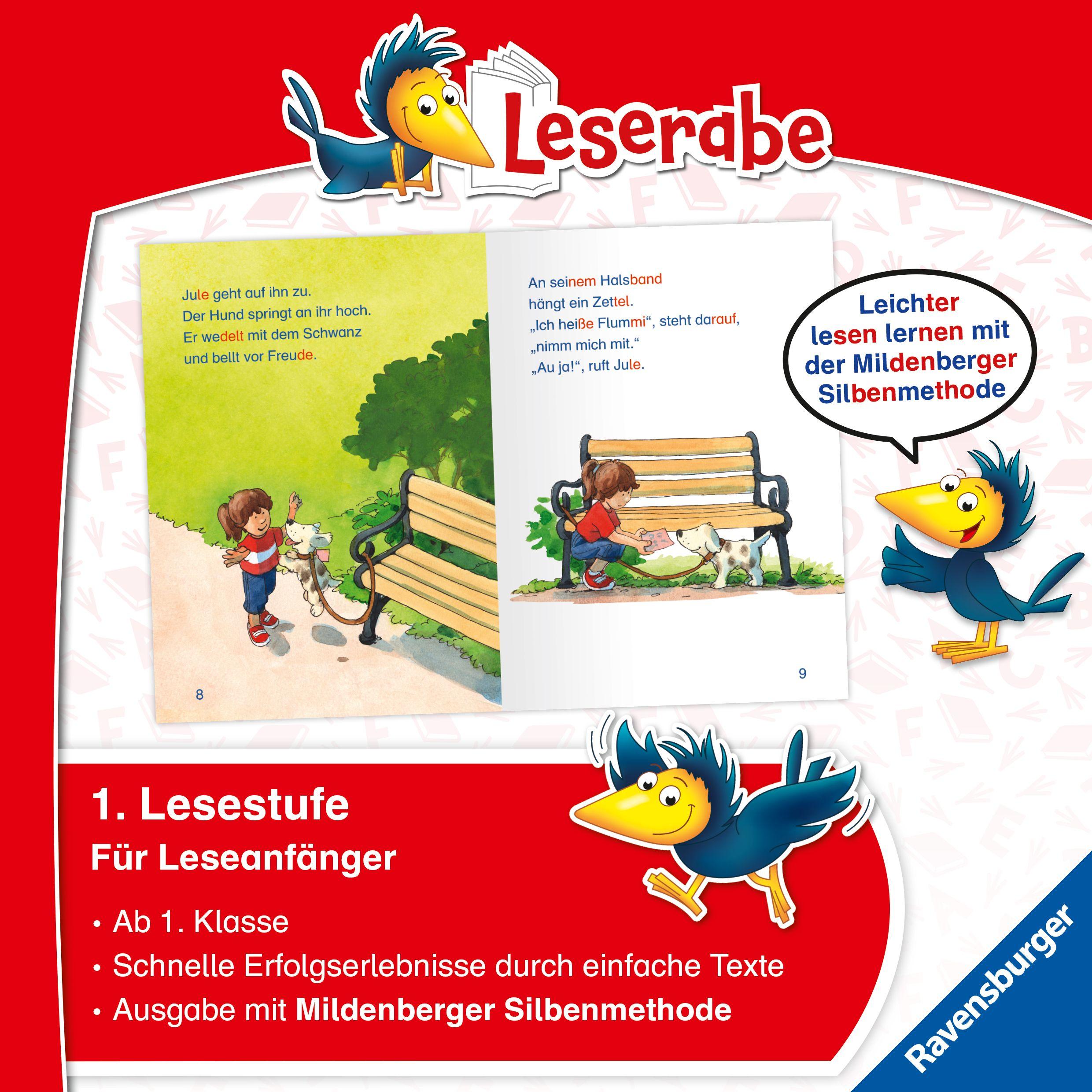 Beispielinhalt (Bild) Leserabe mit Mildenberger Silbenmethode - Ein Hund für Jule