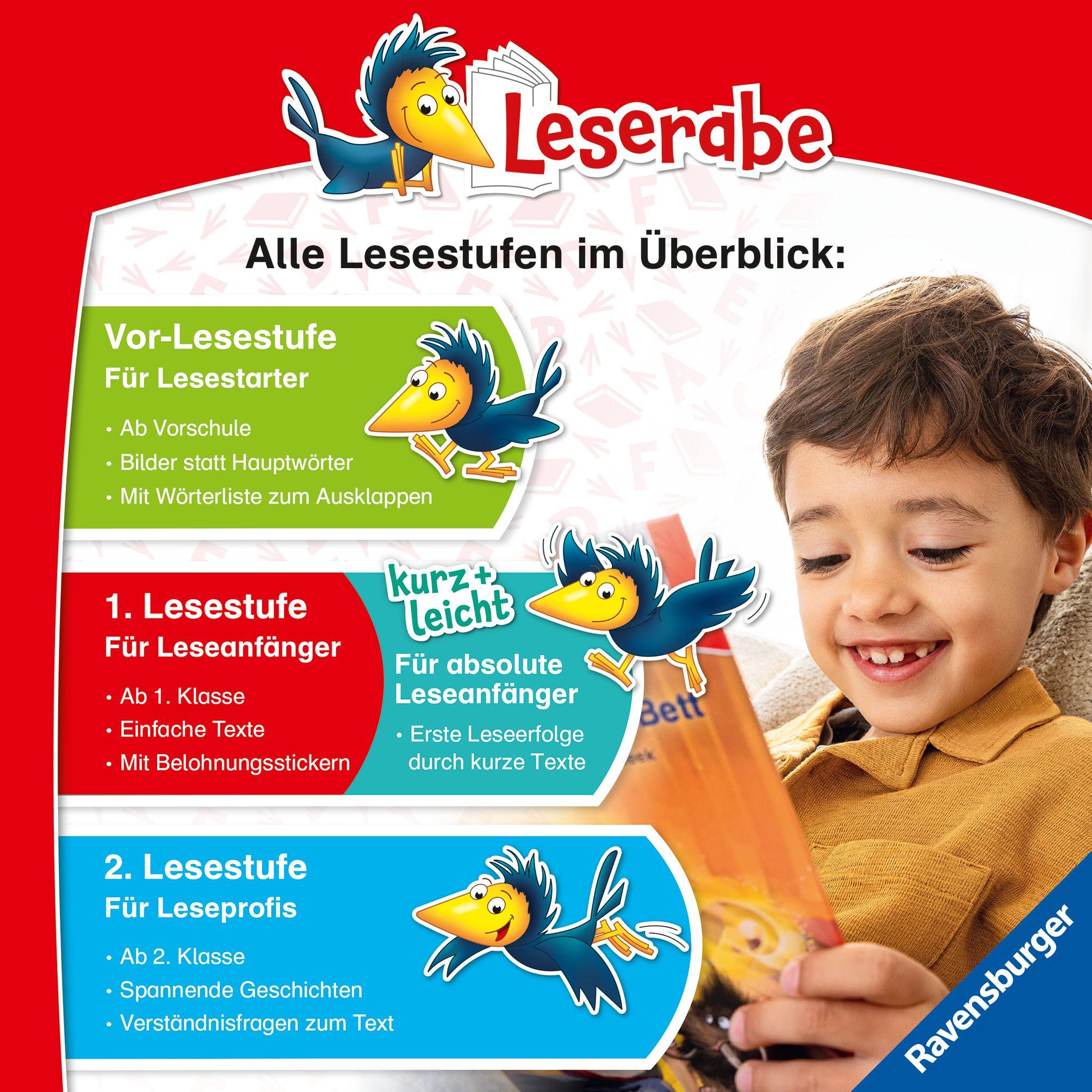 Beispielinhalt (Bild) Leserabe mit Mildenberger Silbenmethode - Ein Hund für Jule