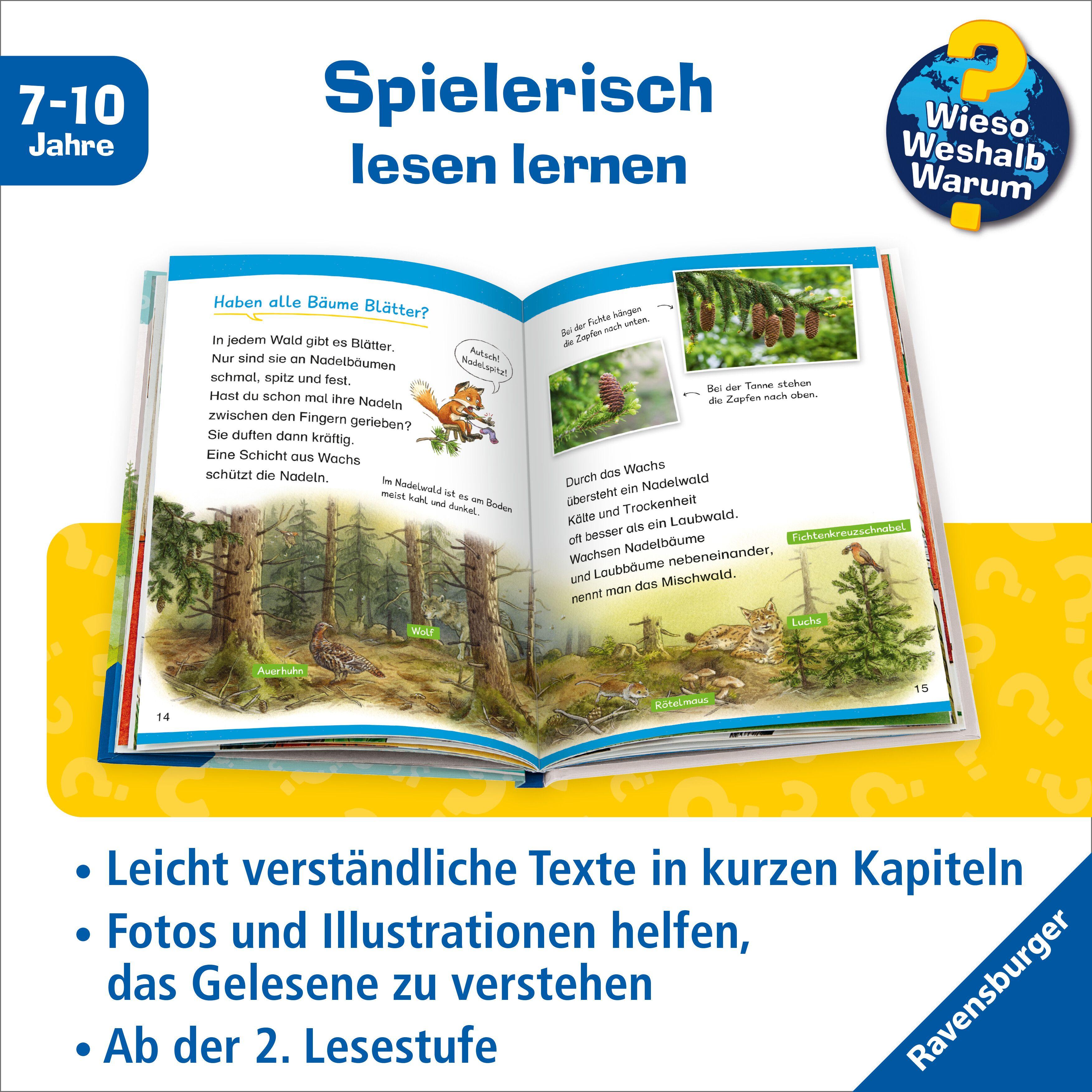 Beispielinhalt (Bild) Wieso? Weshalb? Warum? Erstleser, Band 17 - Im Wald